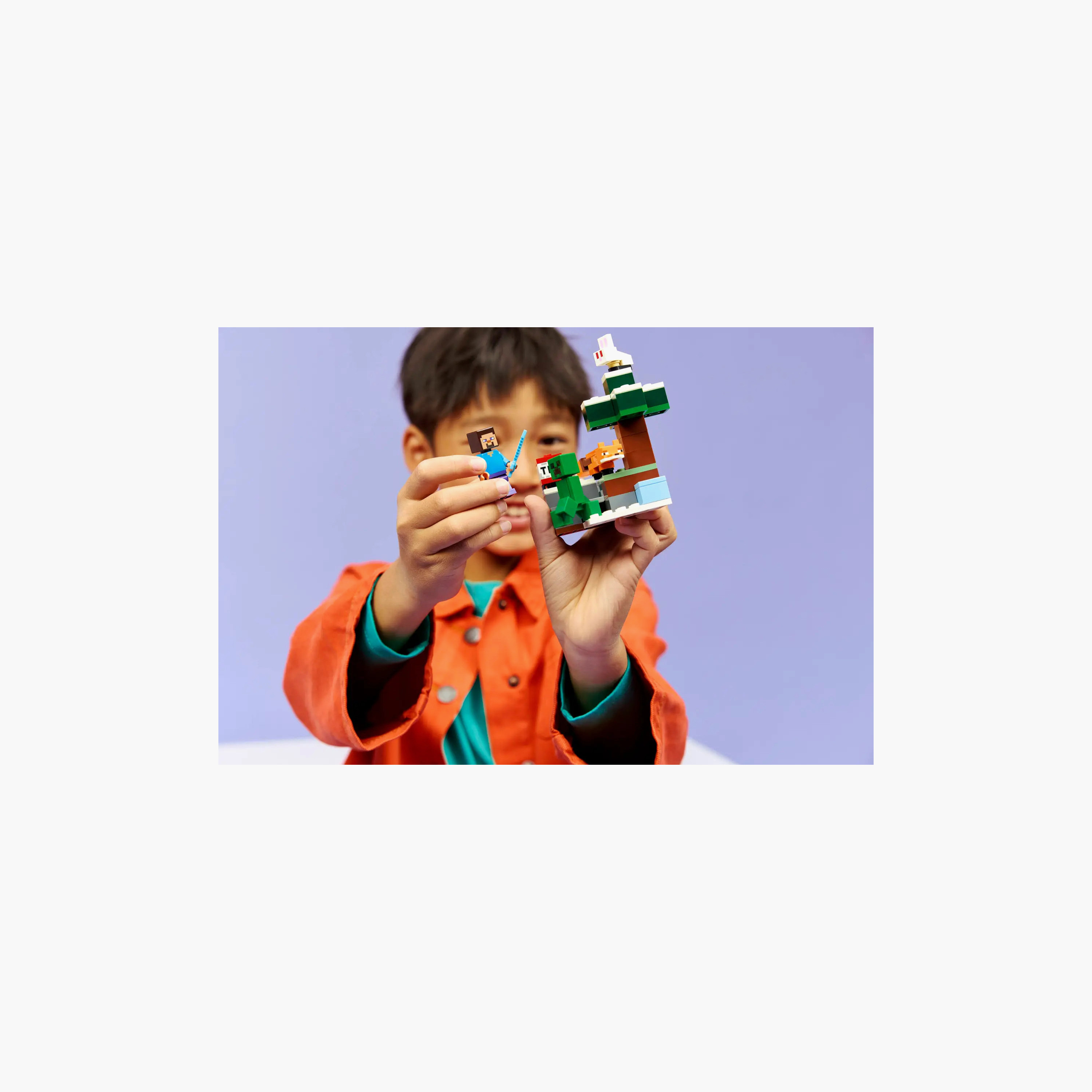 مغامرة ستيف في التايغا هدية للاعبين ماين كرافت 21583 من ليغو-toys-buildingblocks-blocks-image-5