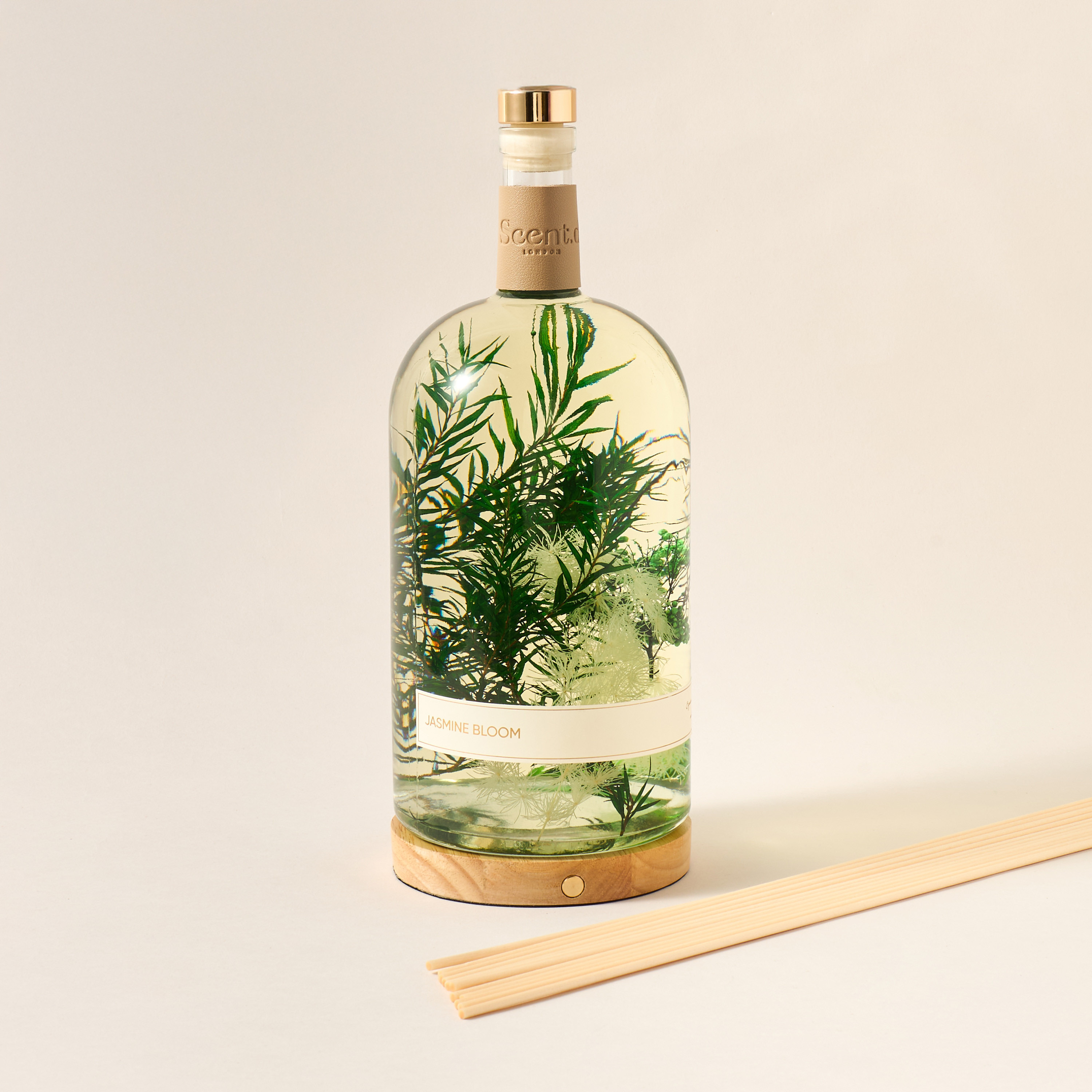 Scent.d London Jasmine Bloom Reed Diffuser - 2.5 L-household-homefragrance-reeddiffusers-image-3