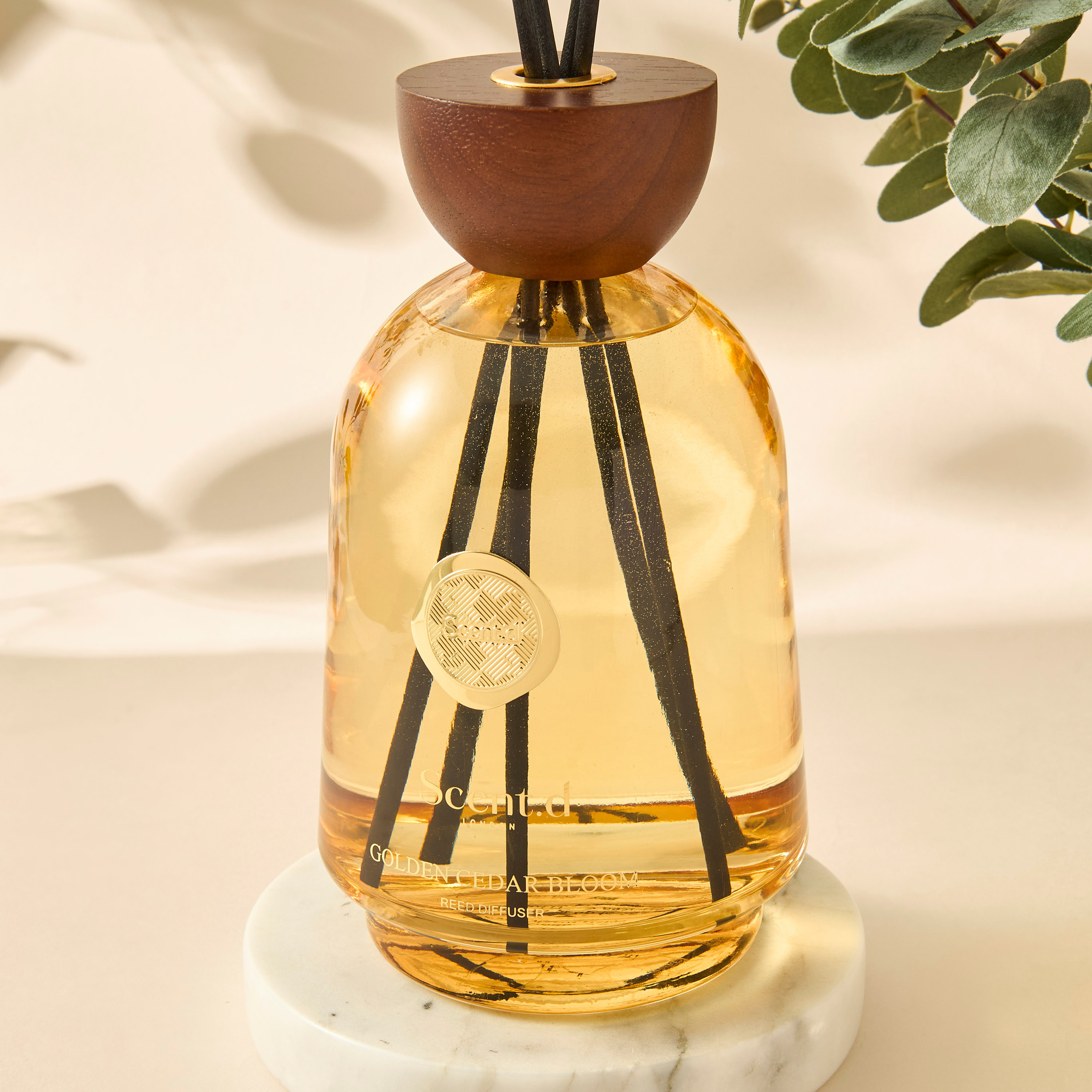 Scent.d London Golden Cedar Bloom Reed Diffuser - 1000 ml-household-homefragrance-reeddiffusers-image-2