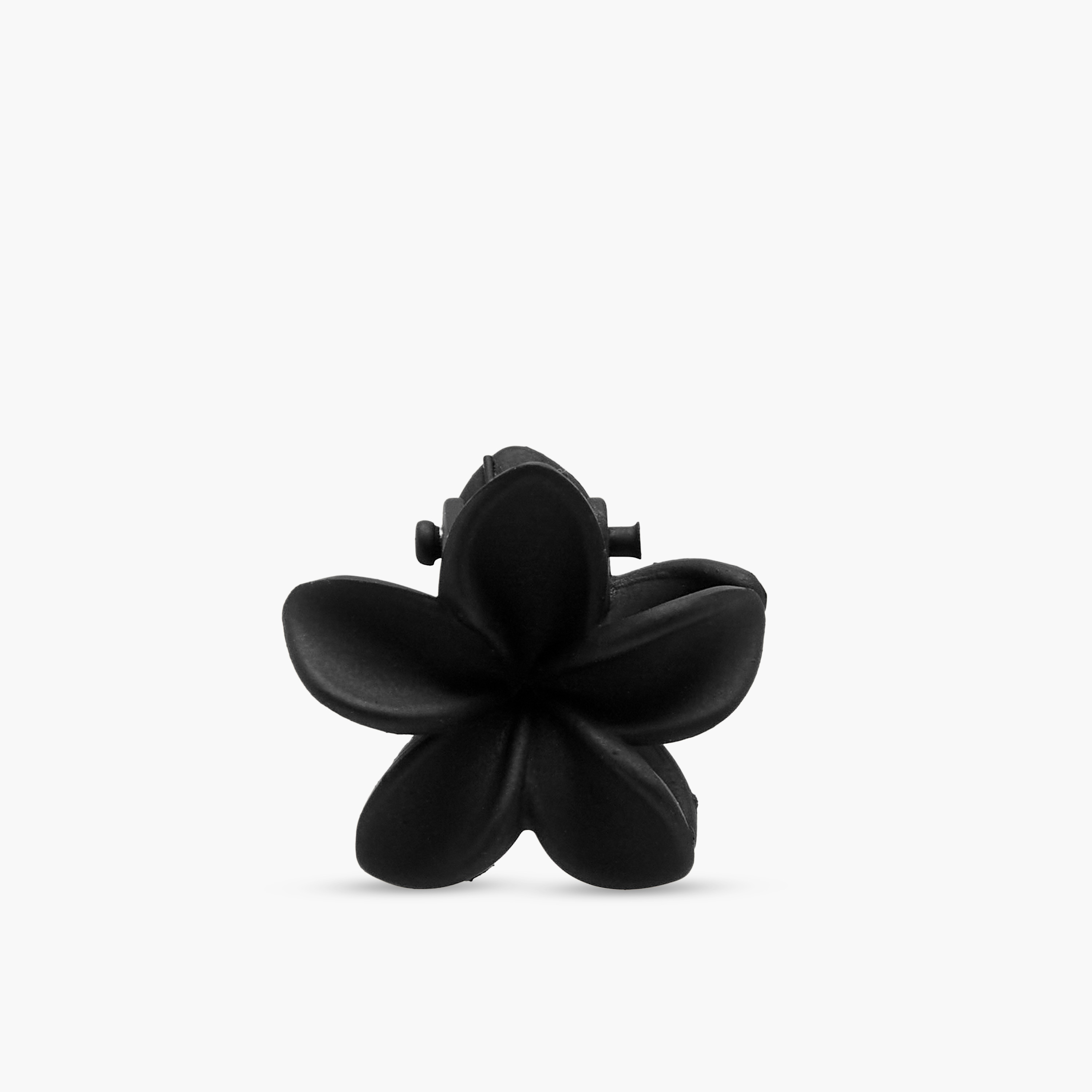 Pack of 6 Floral Hair Clamp with Matte Finish-women-hairaccessories-clamps-image-2