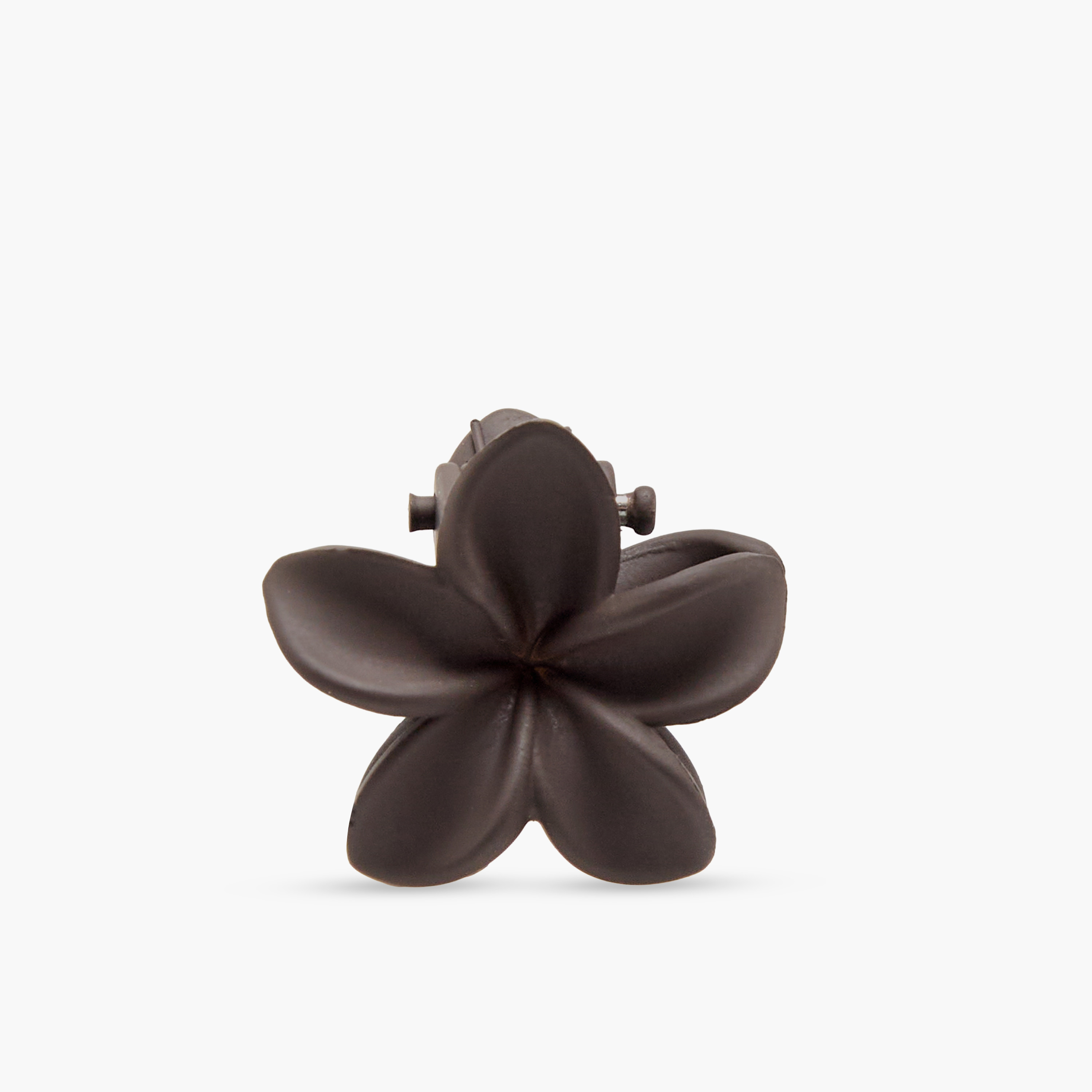 Pack of 6 Floral Hair Clamp with Matte Finish-women-hairaccessories-clamps-image-4