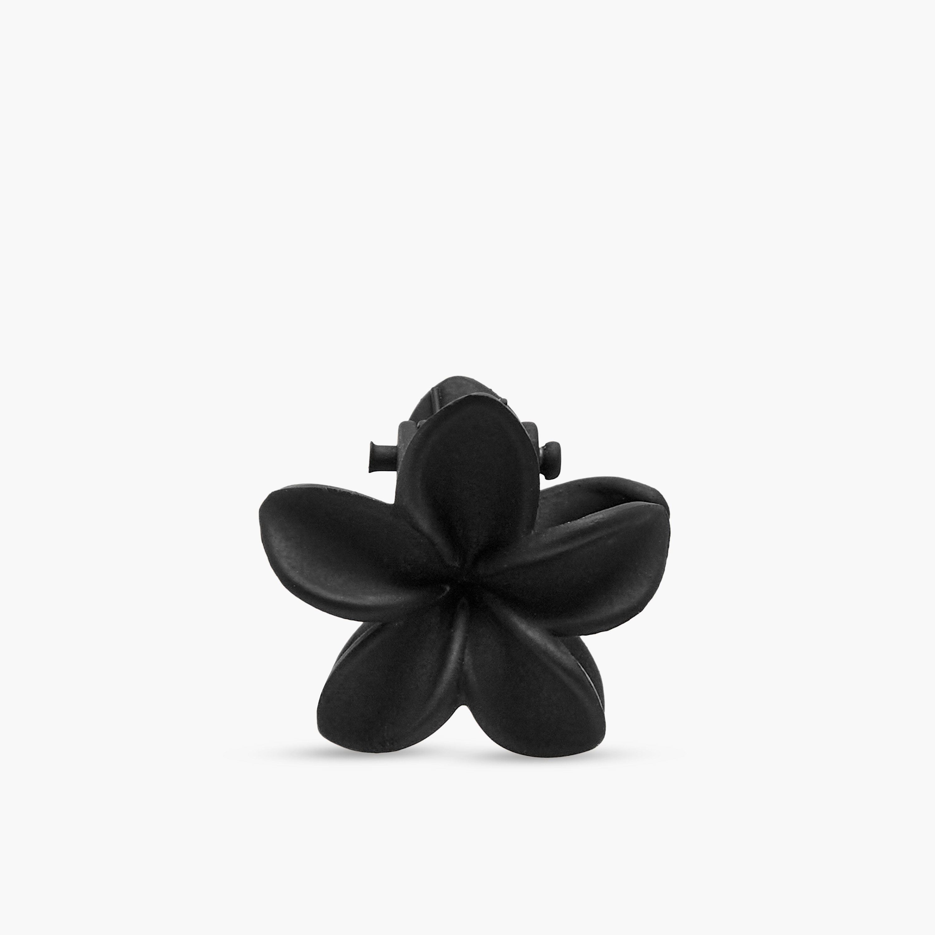 Pack of 6 Floral Hair Clamp with Matte Finish-women-hairaccessories-clamps-image-5