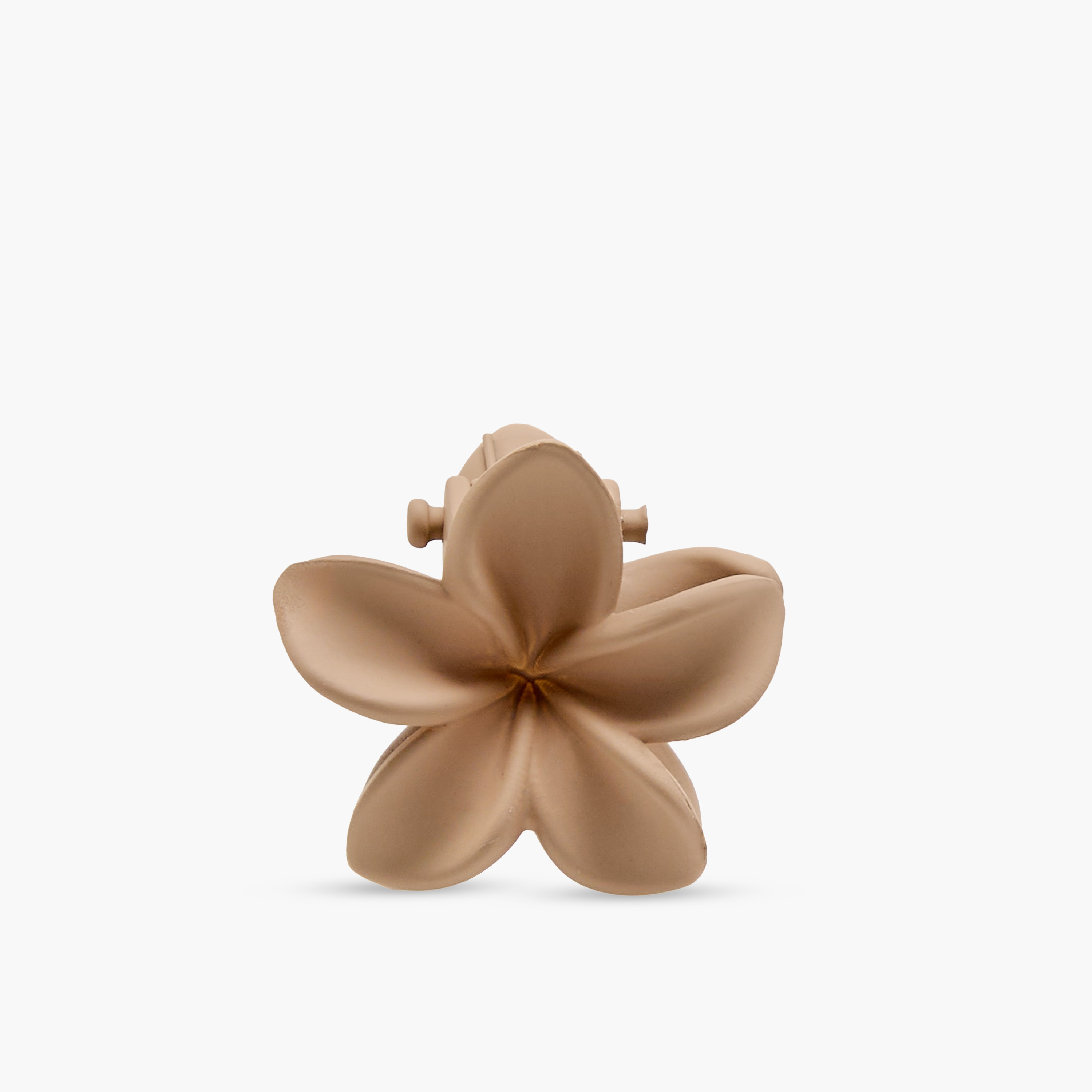 Pack of 6 Floral Hair Clamp with Matte Finish-women-hairaccessories-clamps-image-6