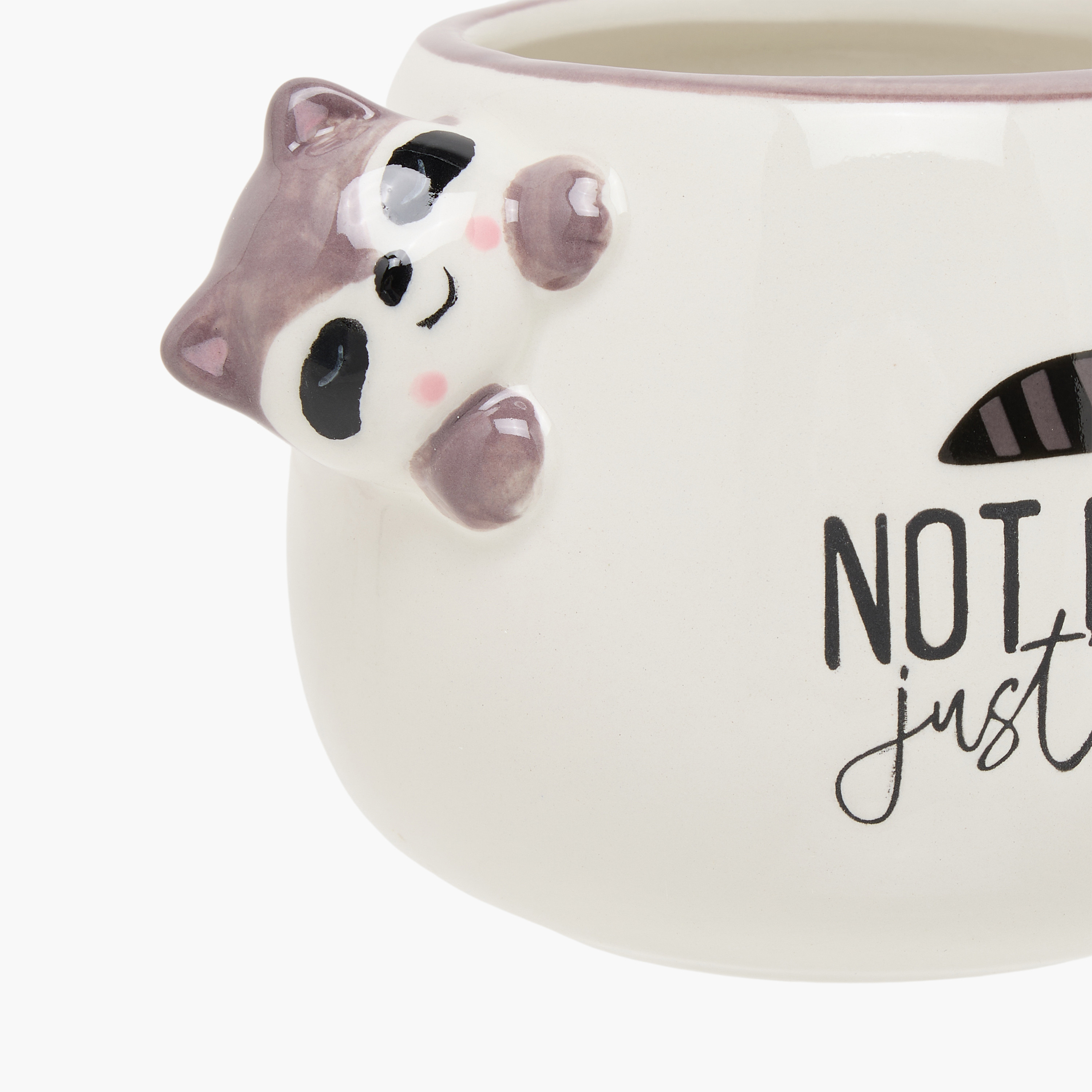 Raccoon Print Dolomite Mug - 440 ml-household-dining-teaandcoffee-mugsandcups-image-4