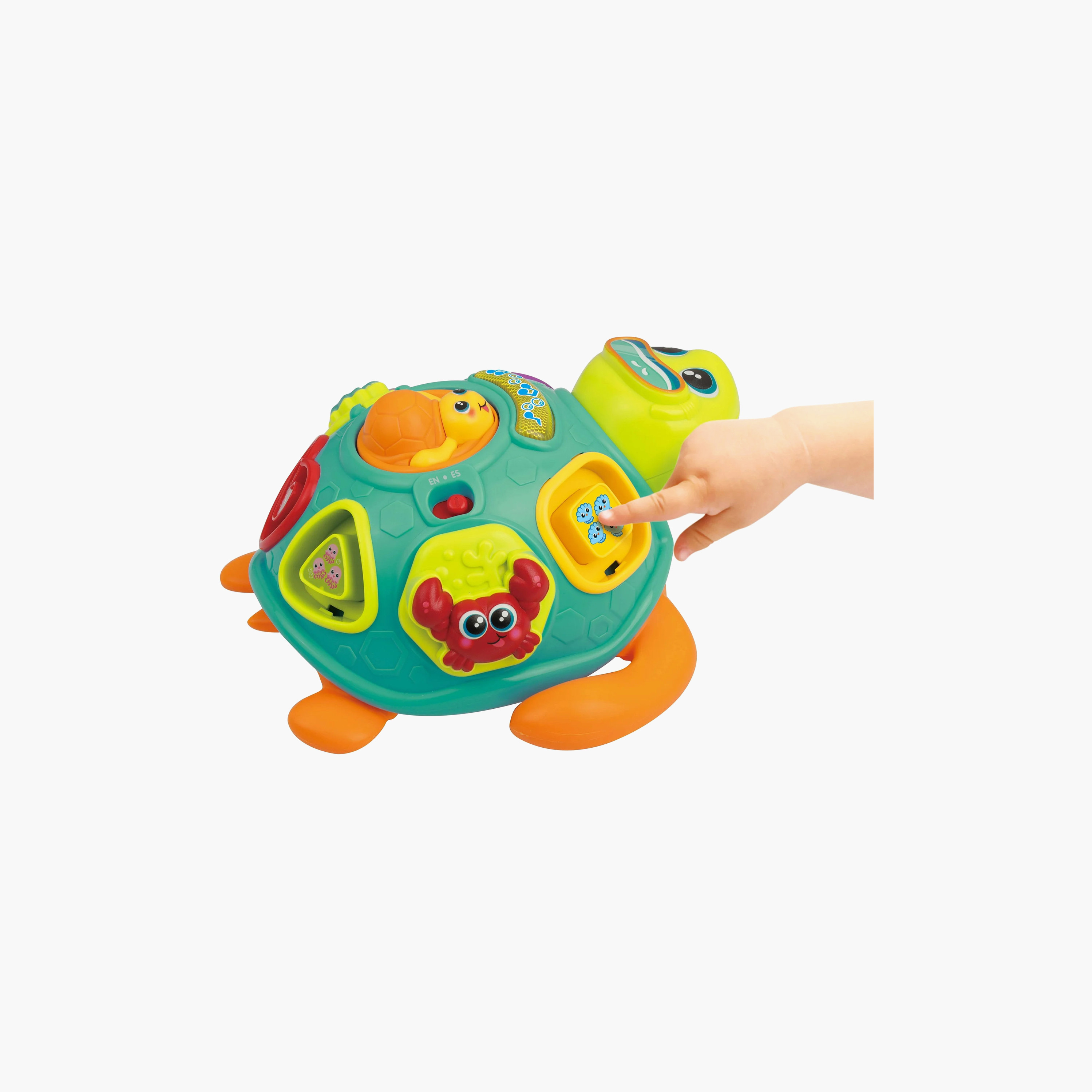 Winfun Pull Along Sort N Learn Turtle-toys-babyandtoddlertoys-learningtoys-image-6