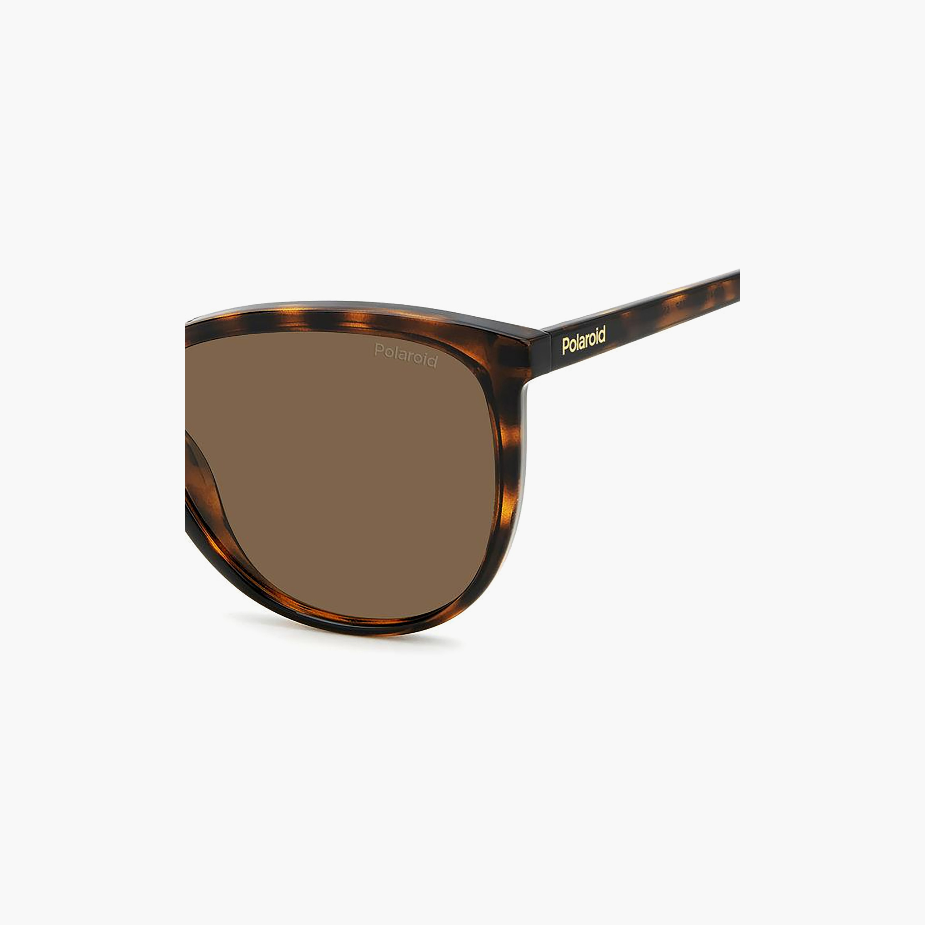 Polaroid Women Rectangle Polorized Brown Sunglasses | PLD 4138/S  086-women-sunglasses-image-4