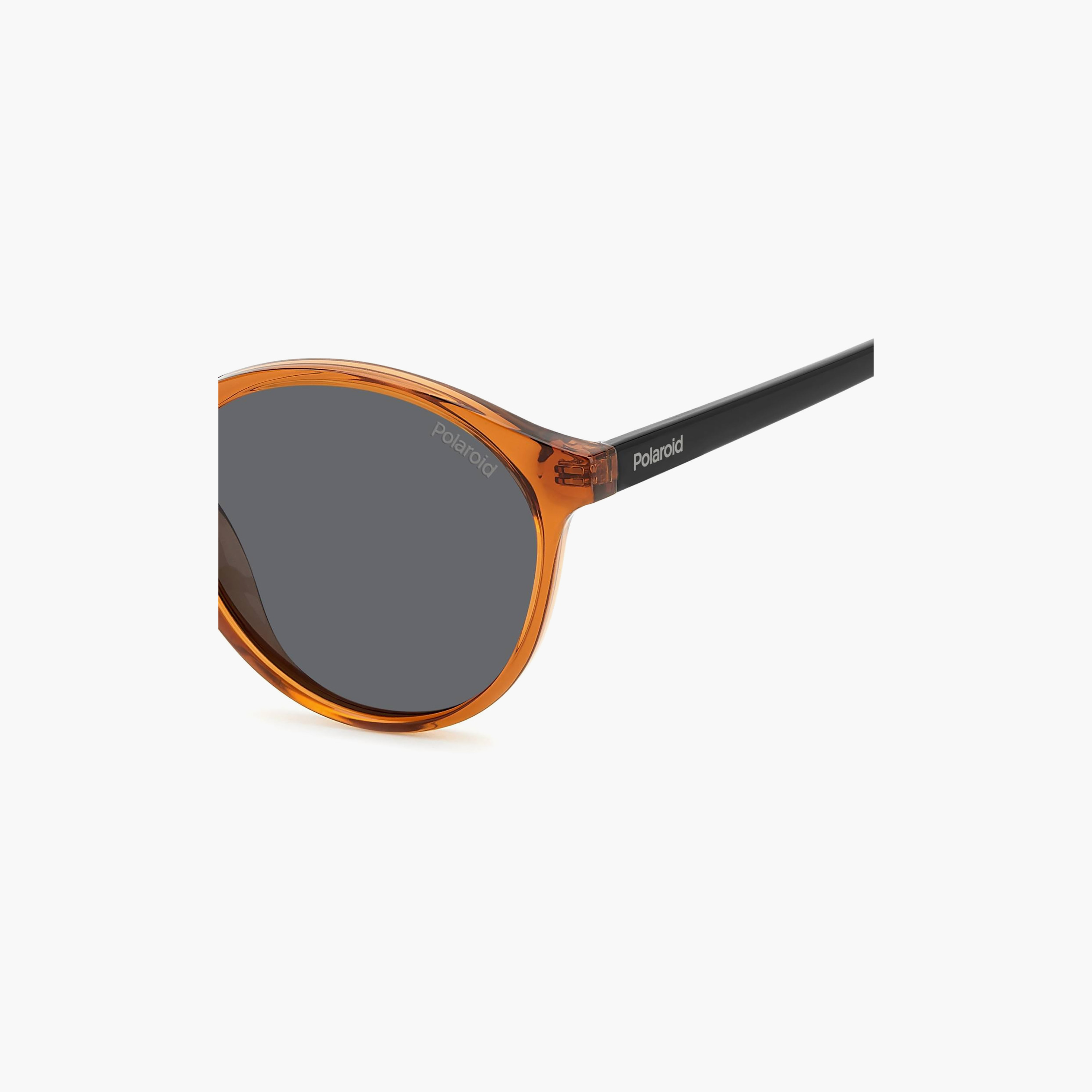 نظارات شمسية رجالية من بولارويد، دائرية وبيضاوية، زرقاء | PLD 4153/S 09Q-men-sunglasses-image-5