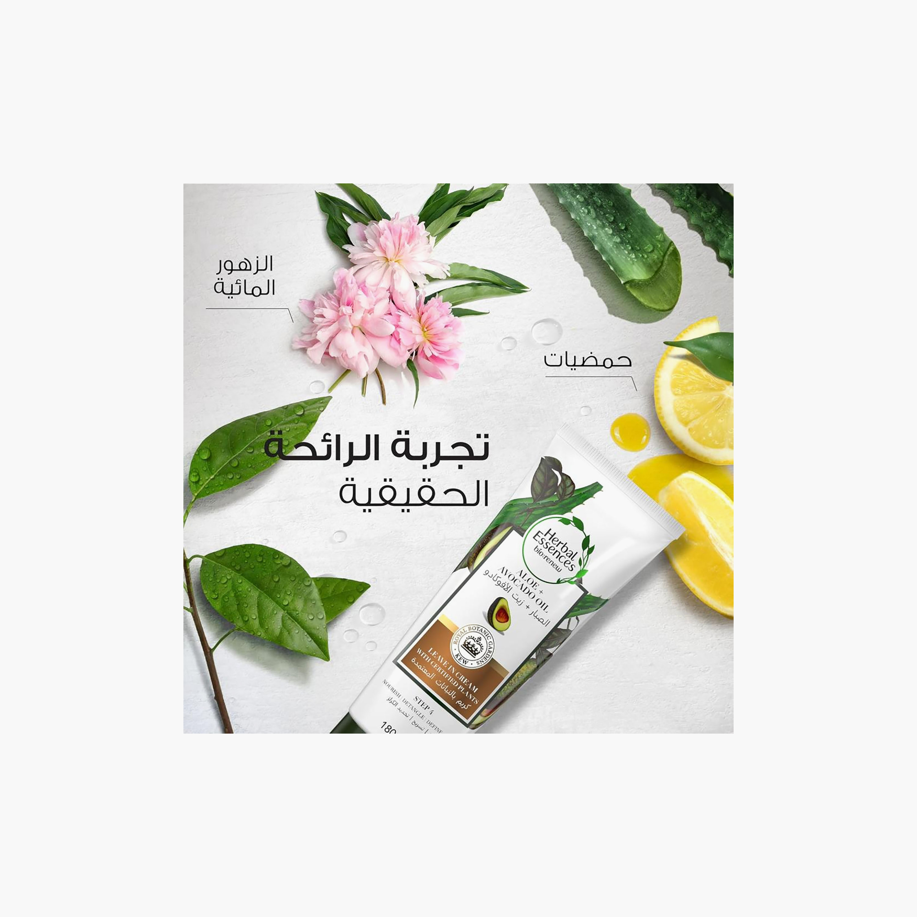 HERBAL Conditioner Nourishing with Avocado Oil 180 ml-beautyandpersonalcare-hair-haircare-conditioners-image-5