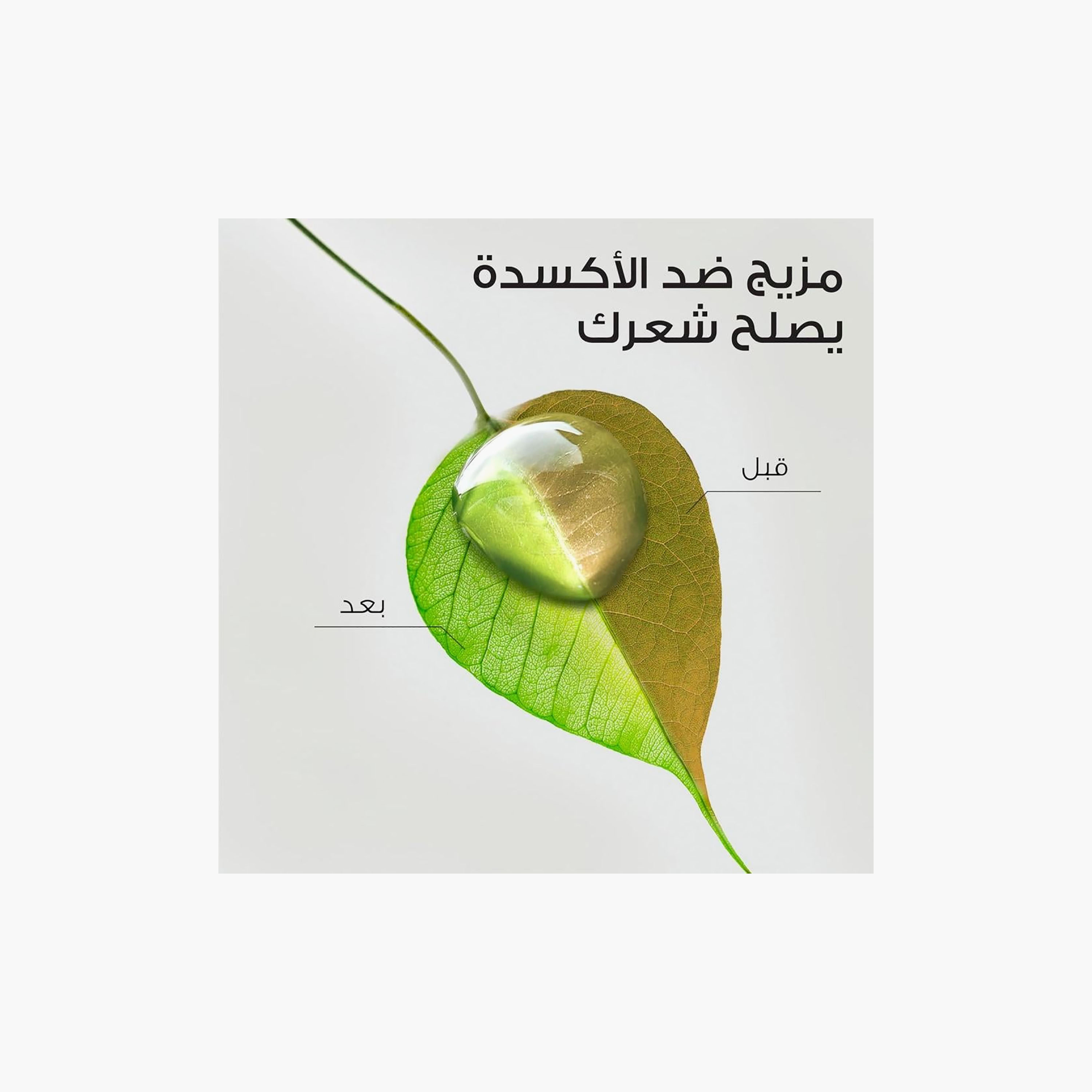 HERBAL Conditioner Nourishing with Avocado Oil 180 ml-beautyandpersonalcare-hair-haircare-conditioners-image-6