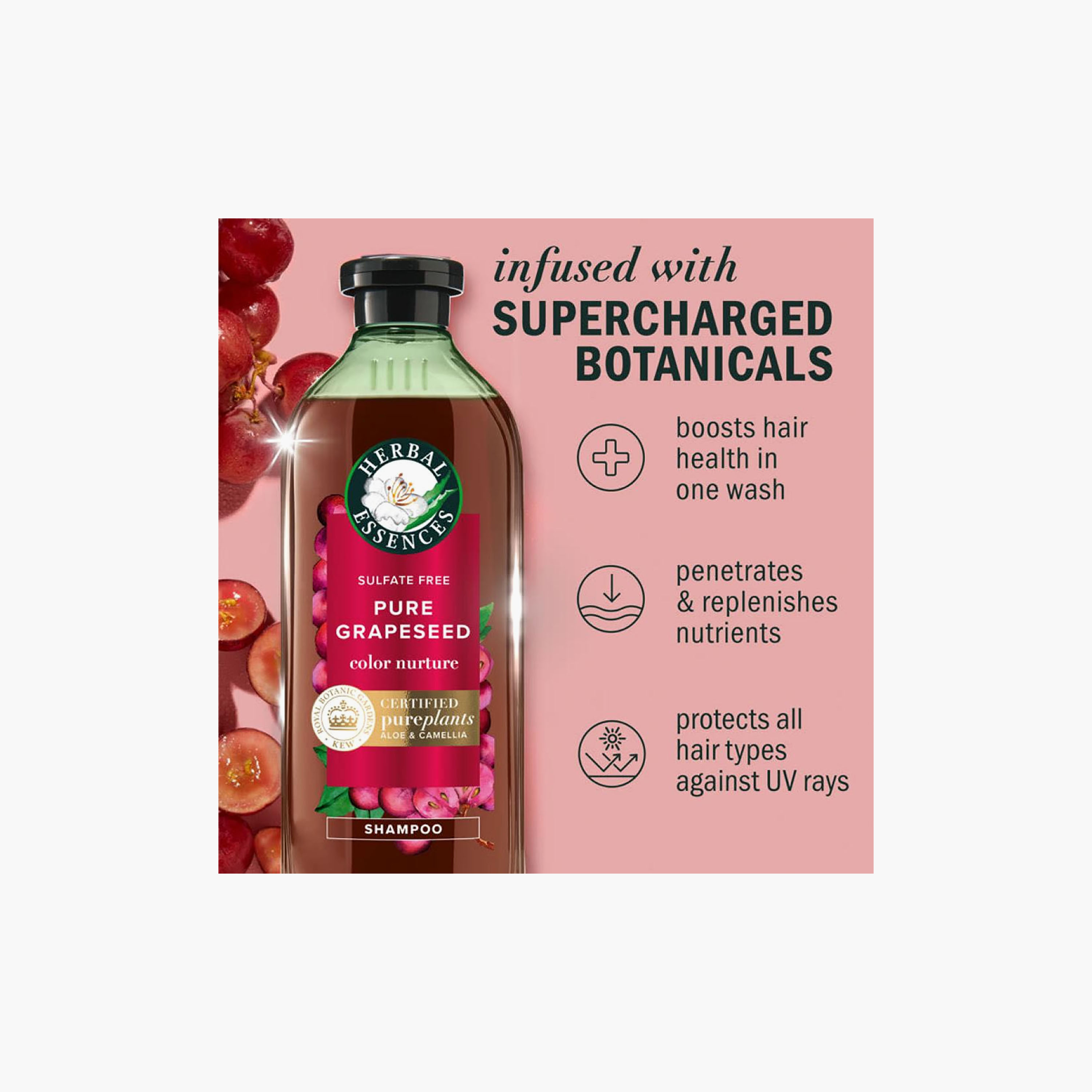 HERBAL Strong Shampoo Strengthening with Grape Seed 400 ml-beautyandpersonalcare-hair-haircare-shampoos-image-3