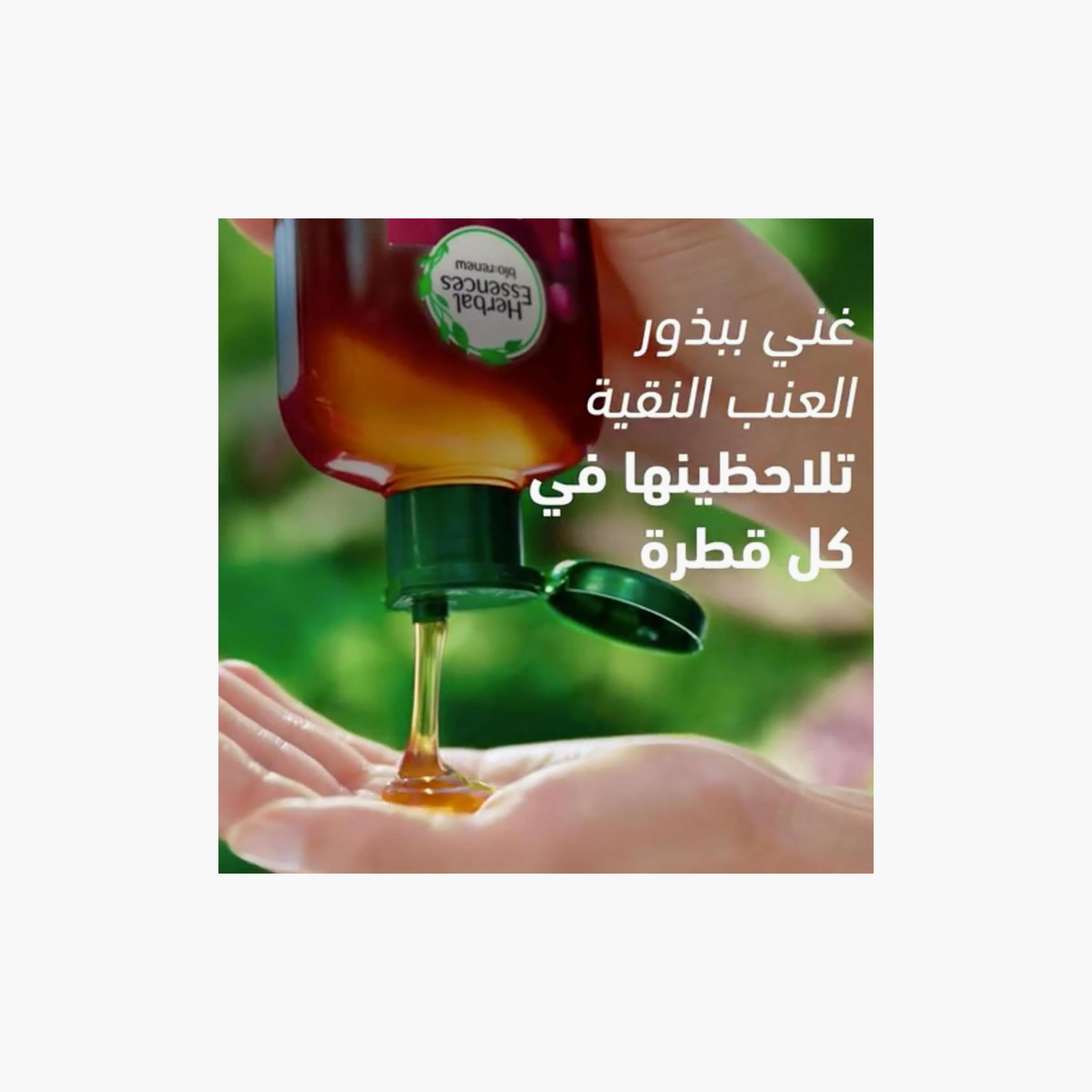 HERBAL Strong Shampoo Strengthening with Grape Seed 400 ml-beautyandpersonalcare-hair-haircare-shampoos-image-5