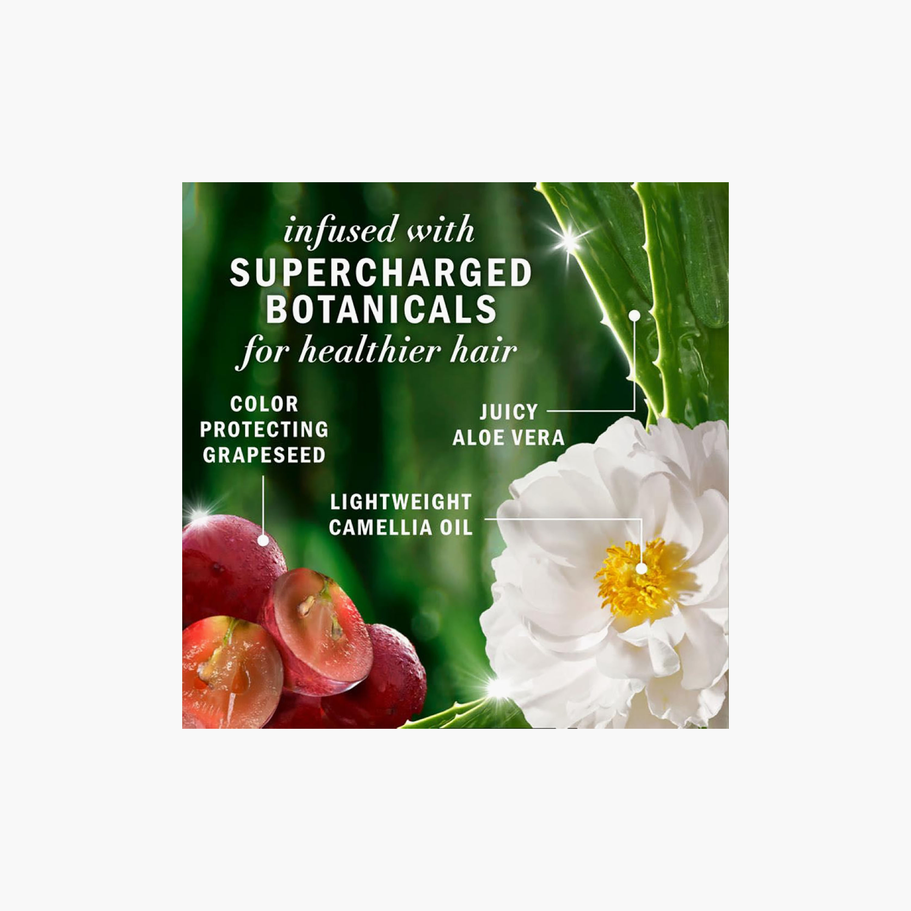 HERBAL Strong Shampoo Strengthening with Grape Seed 400 ml-beautyandpersonalcare-hair-haircare-shampoos-image-7