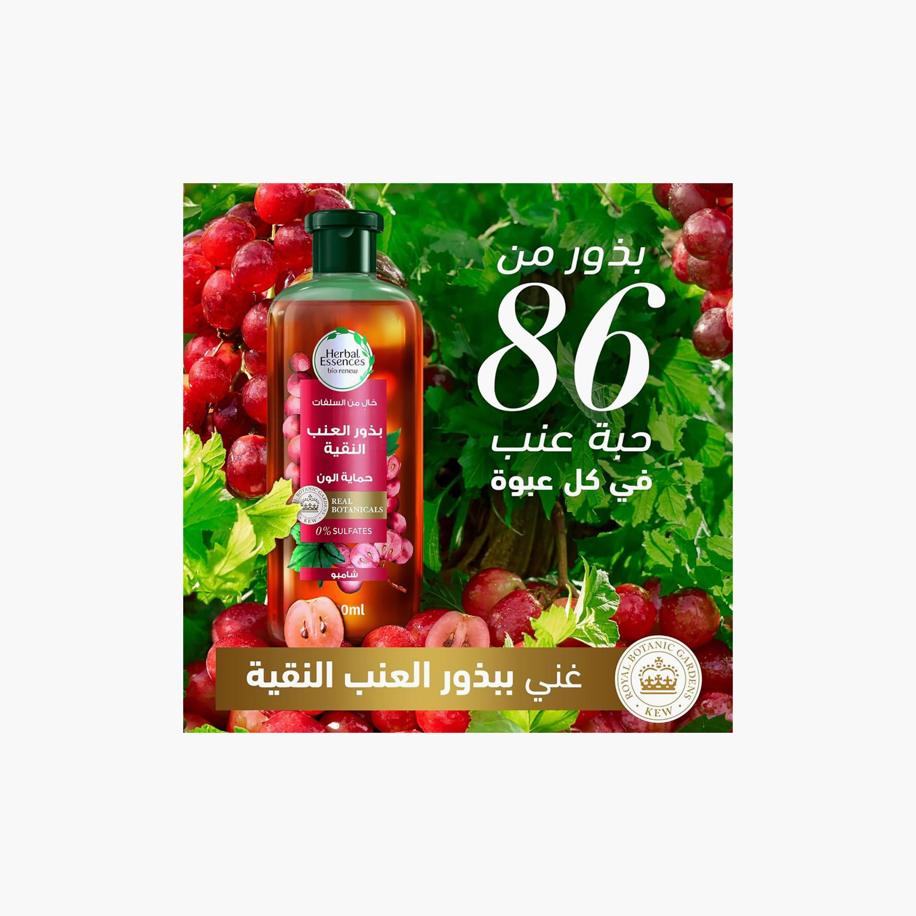 HERBAL Strong Shampoo Strengthening with Grape Seed 400 ml-beautyandpersonalcare-hair-haircare-shampoos-image-8