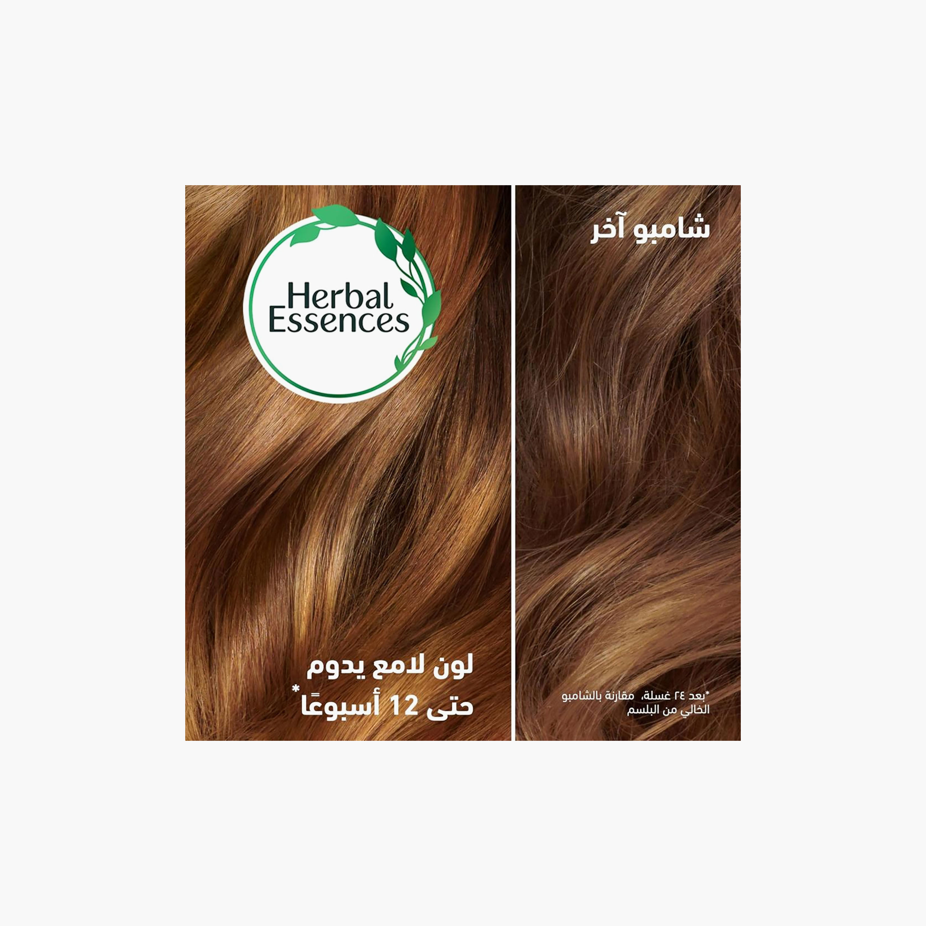 HERBAL Strong Shampoo Strengthening with Grape Seed 400 ml-beautyandpersonalcare-hair-haircare-shampoos-image-9