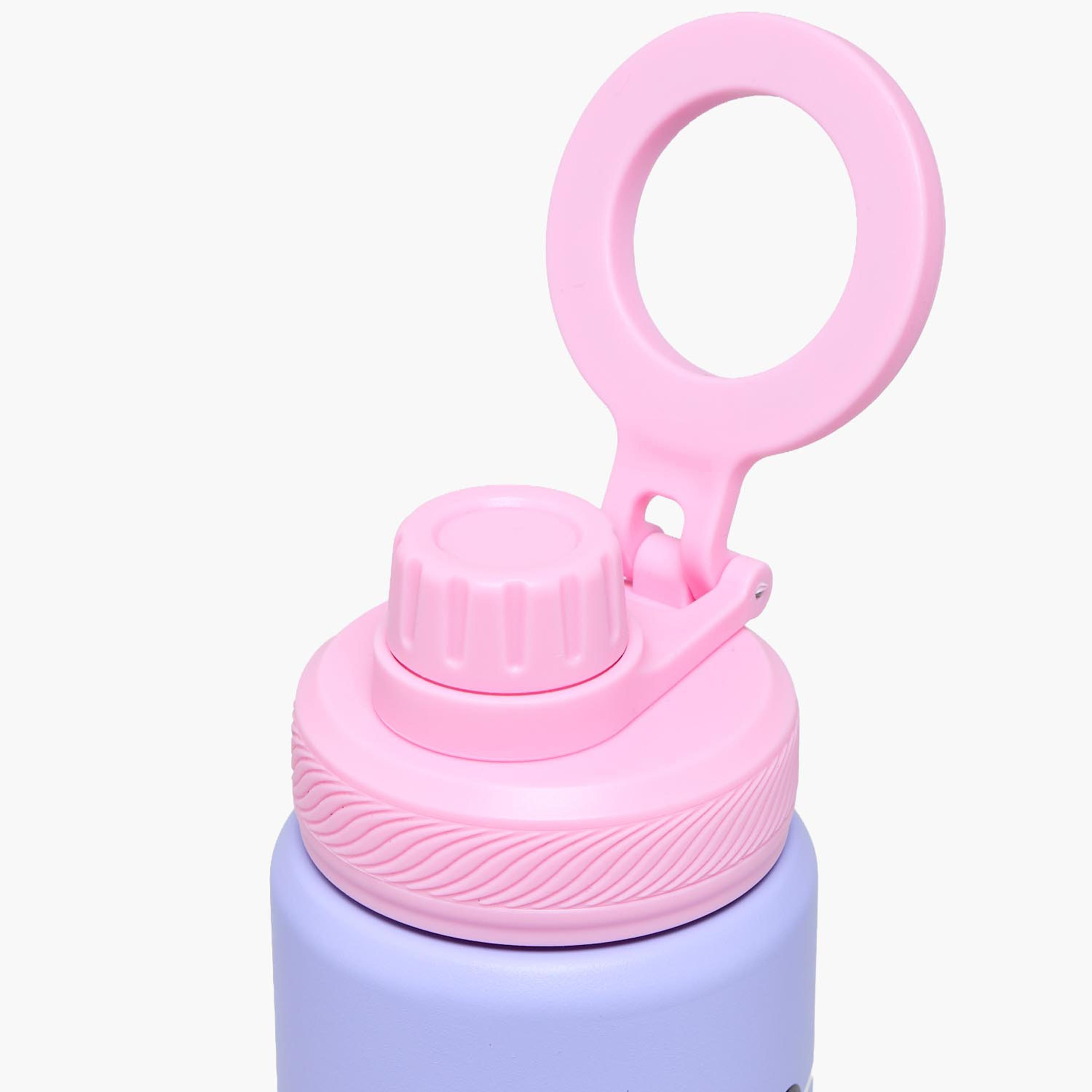 قارورة مياه ستانلس ستيل بفوهة ومقبض وطبعات ميني ماوس من ديزني-school-waterbottles-image-4
