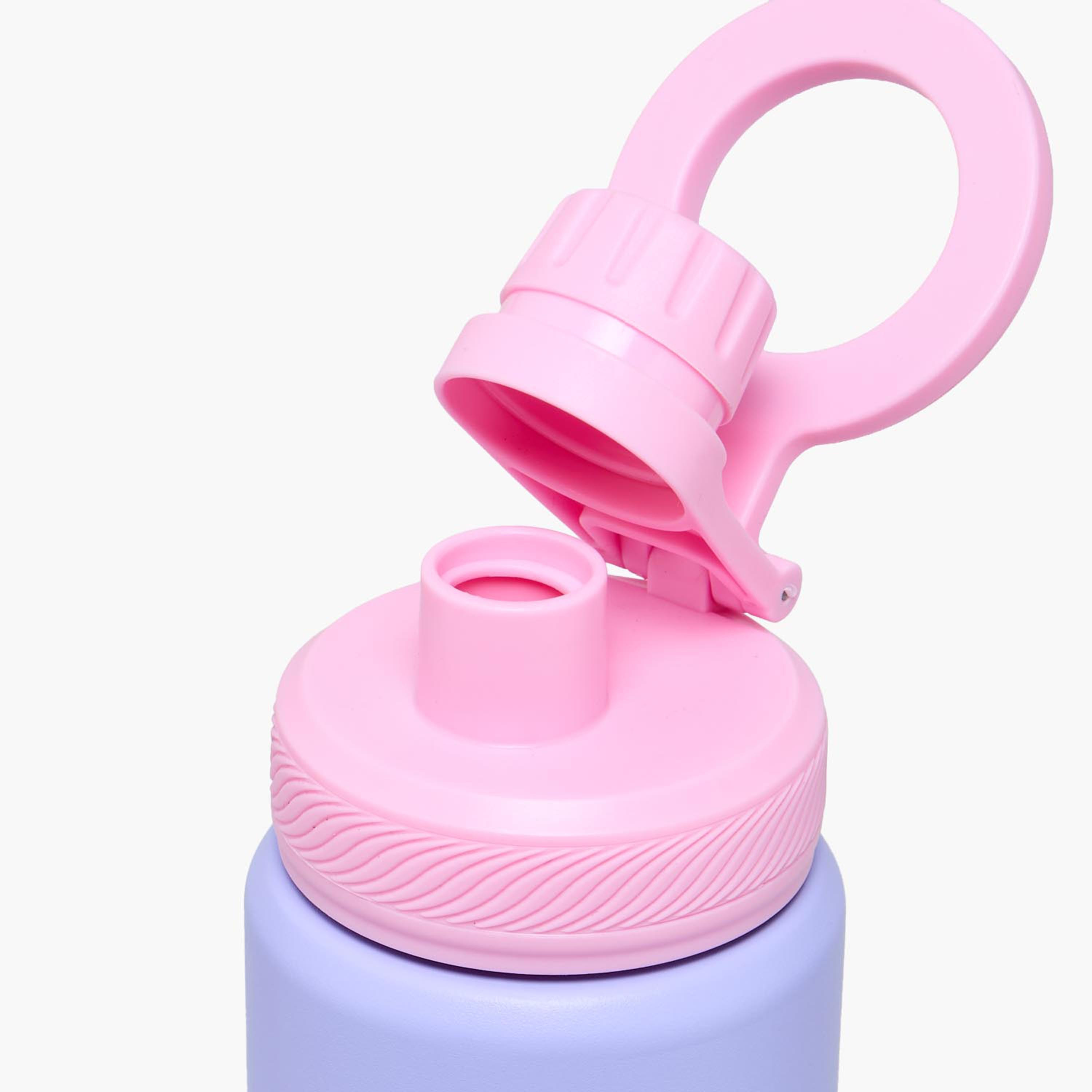 قارورة مياه ستانلس ستيل بفوهة ومقبض وطبعات ميني ماوس من ديزني-school-waterbottles-image-6
