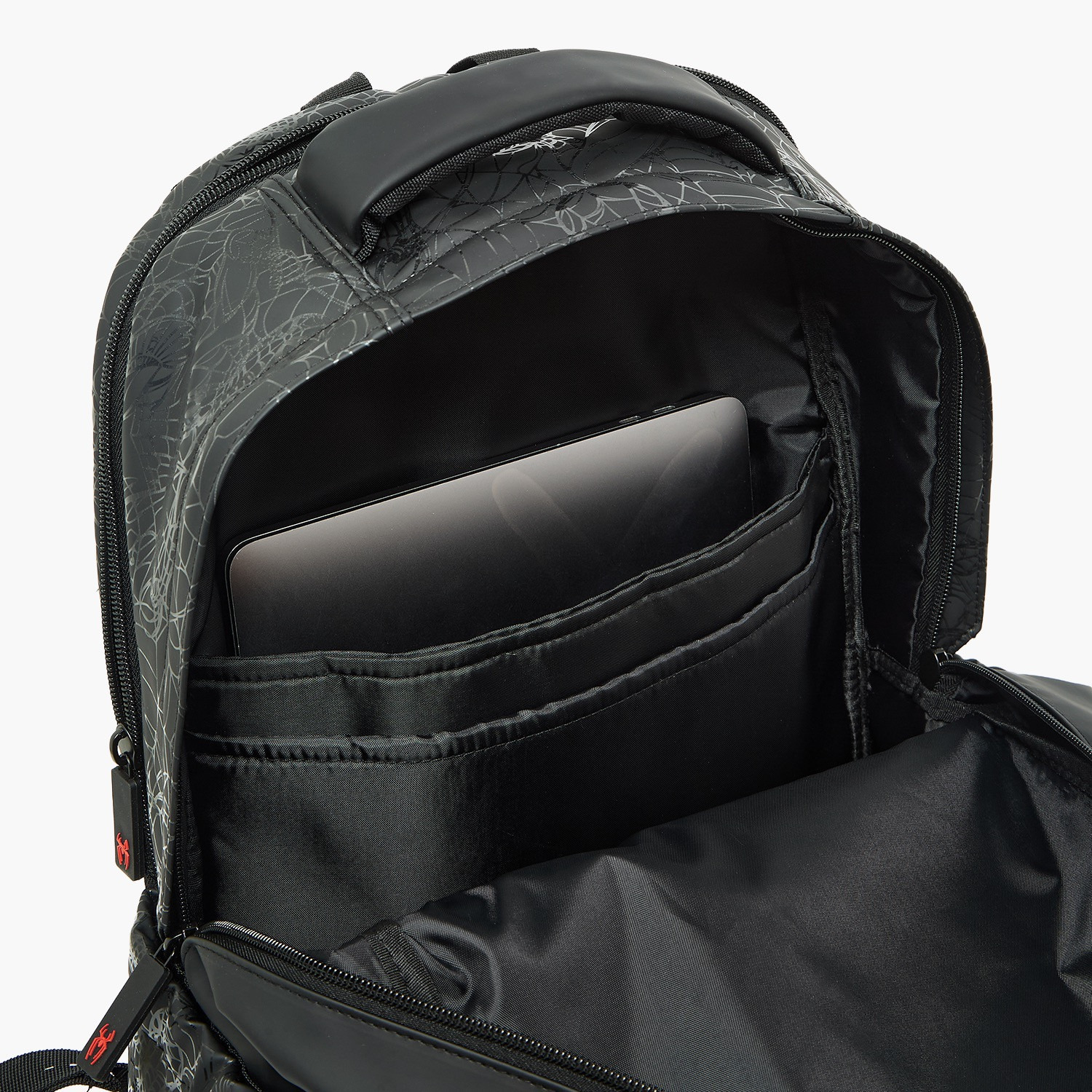 شنطة ظهر للأولاد 8-13 سنة بأحزمة مبطنة وطبعات سبايدرمان - 17 بوصة-school-bagsandbackpacks-backpacks-image-5