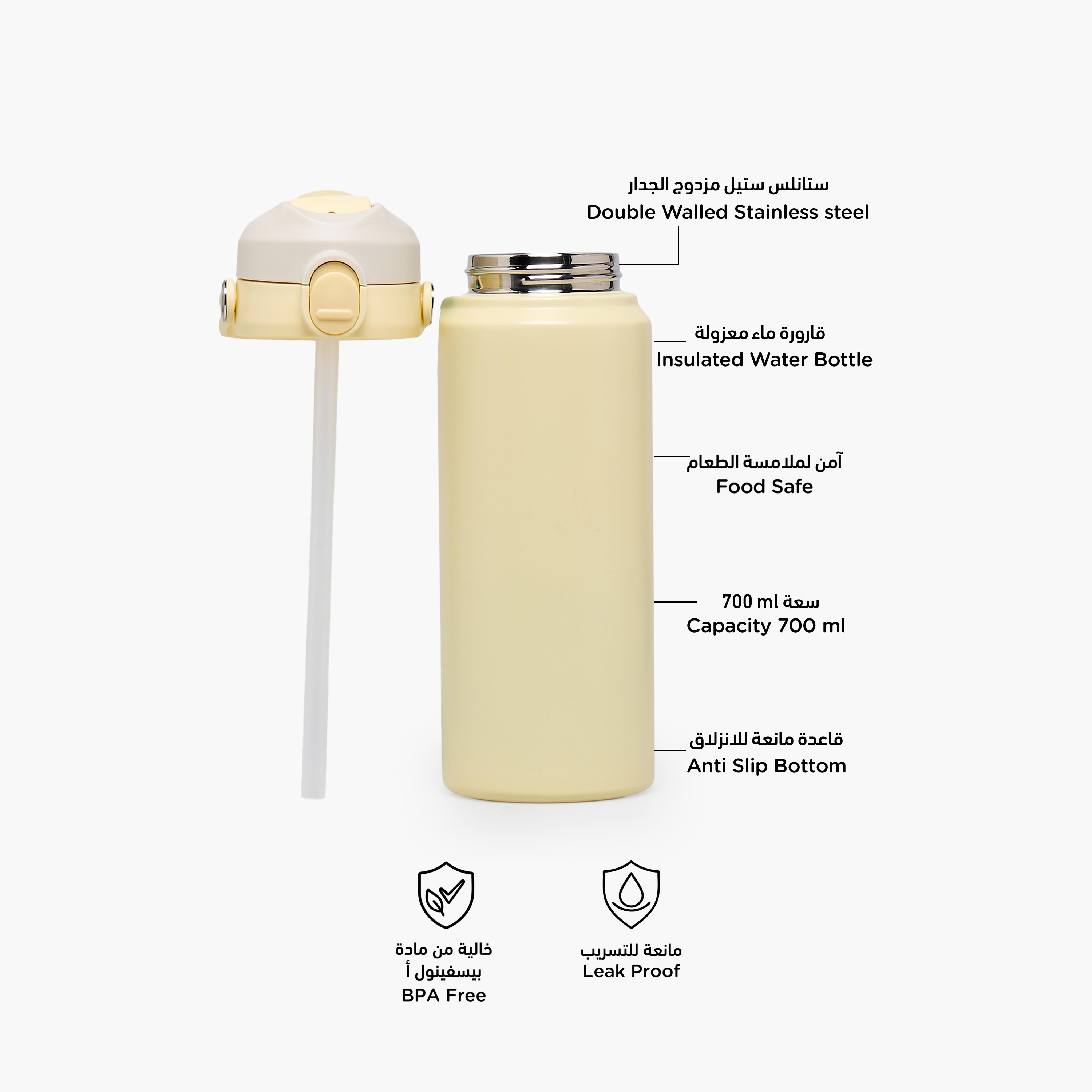 Juniors Solid Stainless Steel Water Bottle with Flip Spout and Handle-school-waterbottles-image-2