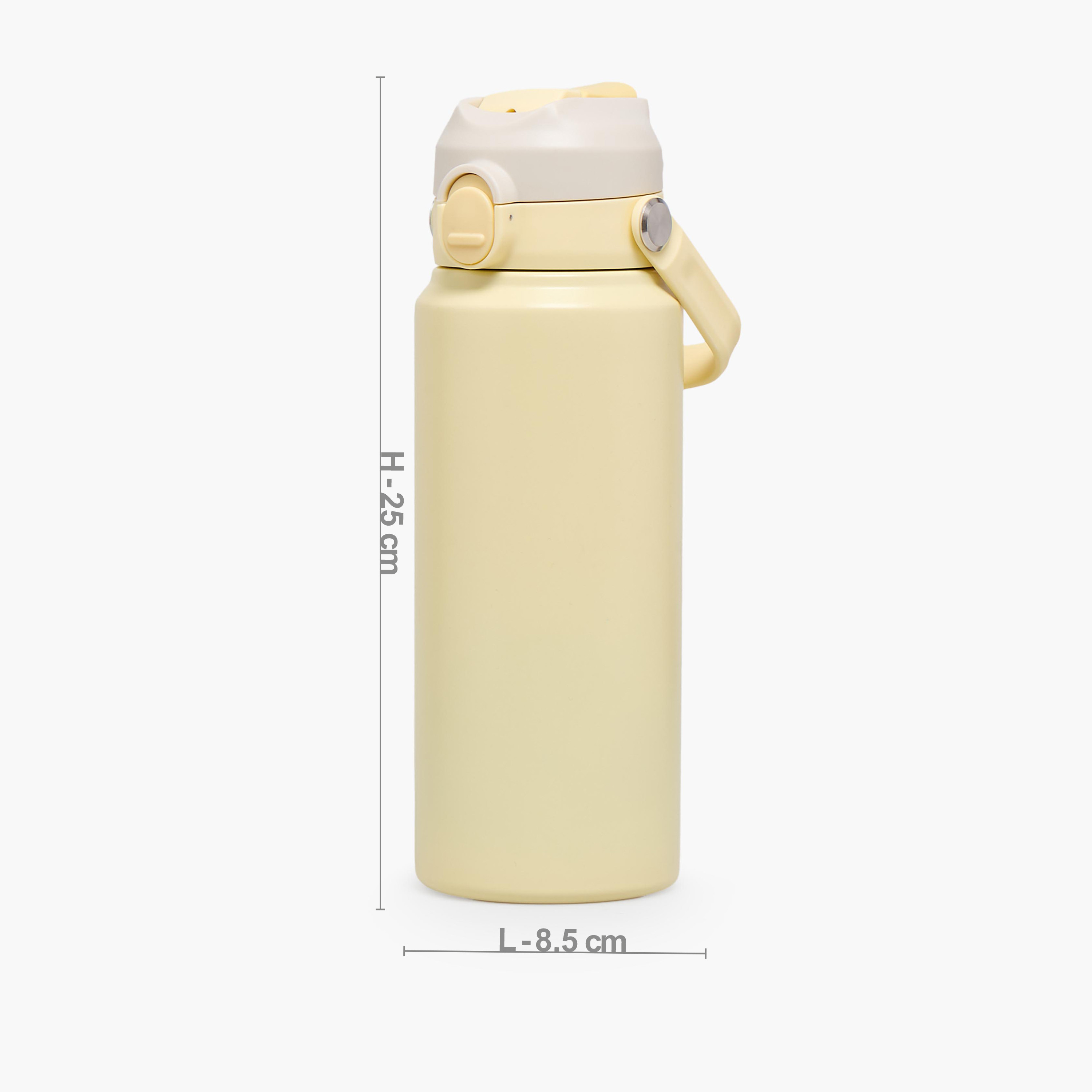 Juniors Solid Stainless Steel Water Bottle with Flip Spout and Handle-school-waterbottles-image-4