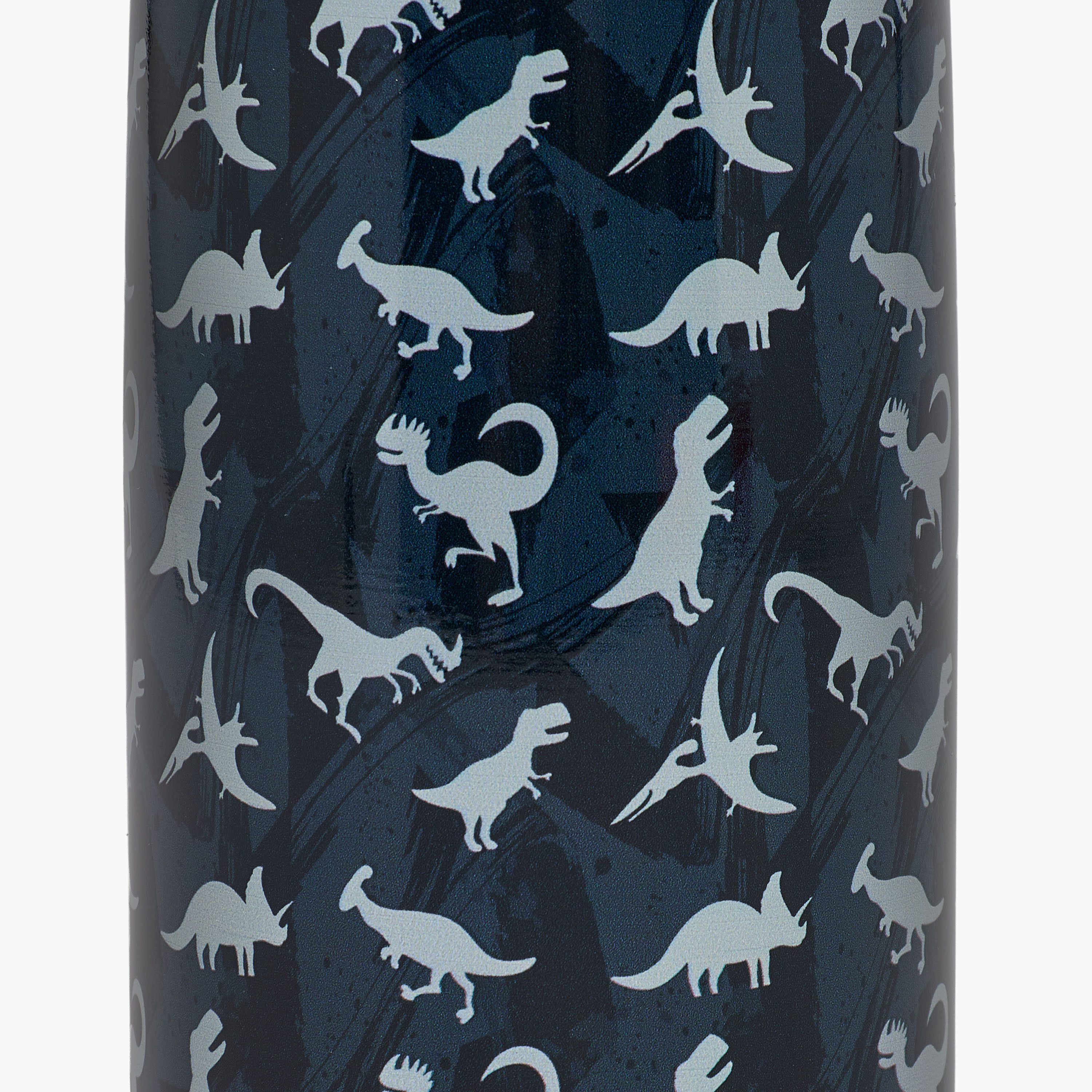 Juniors Dinosaur Print Stainless Steel Water Bottle with Flip Spout and Handle-school-waterbottles-image-7