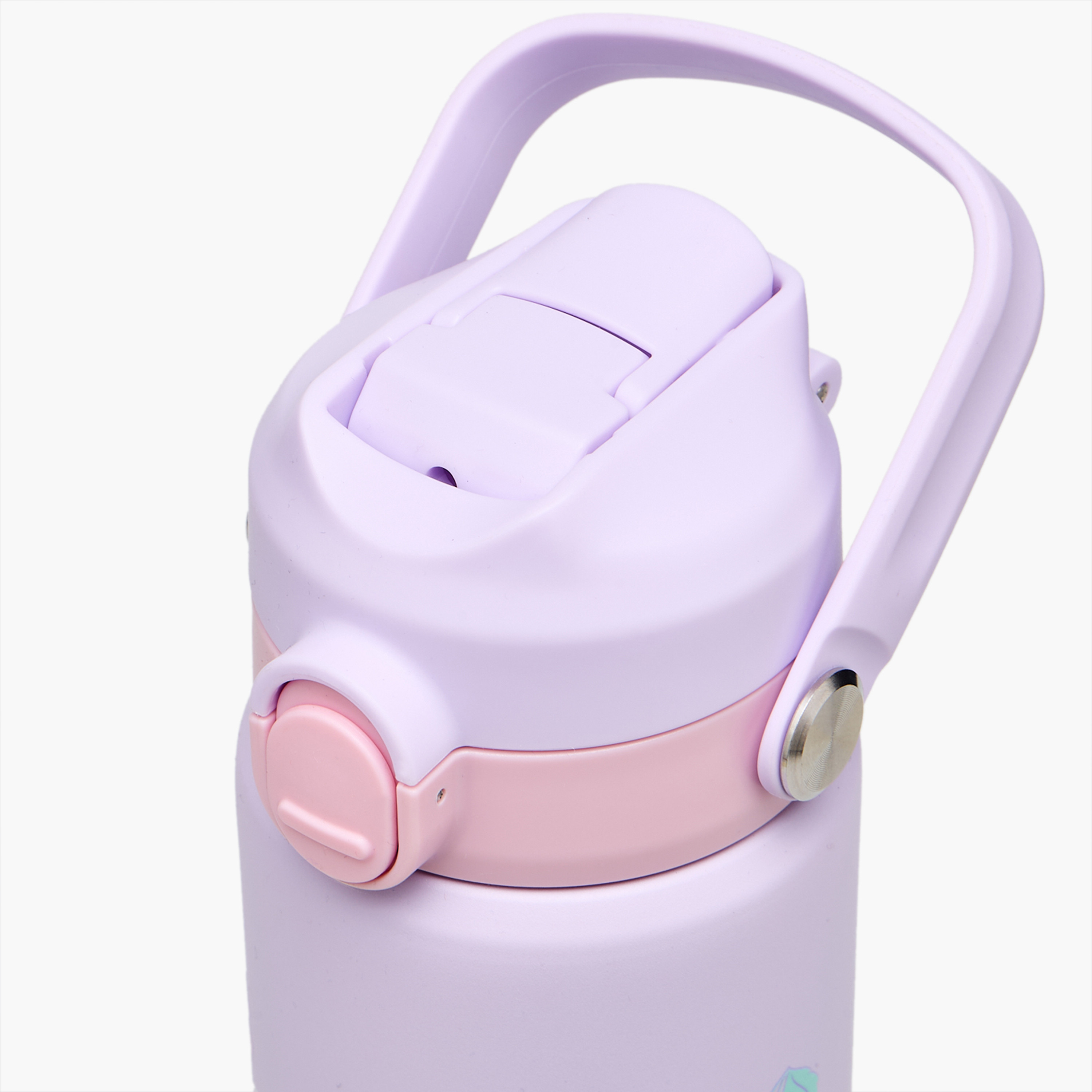 قارورة مياه ستانلس ستيل بفوهة ومقبض وطبعات فراشة من جونيورز-school-waterbottles-image-4