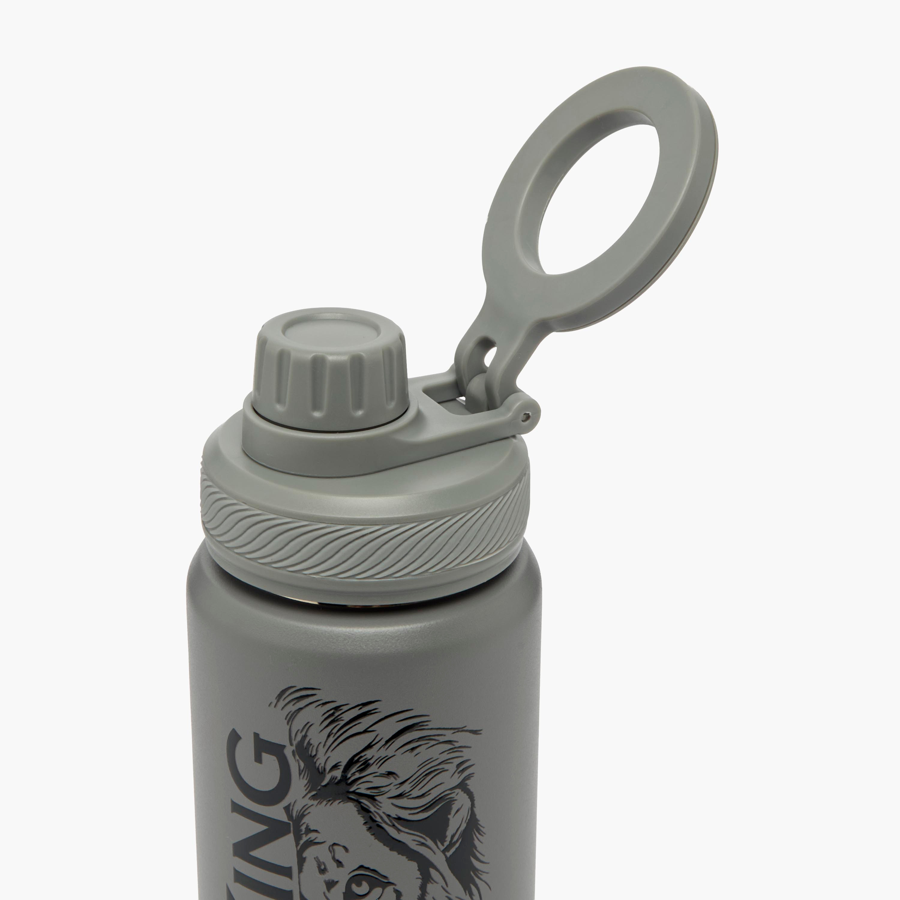 Juniors Lion Print Stainless Steel Water Bottle with Ring Handle-school-waterbottles-image-4
