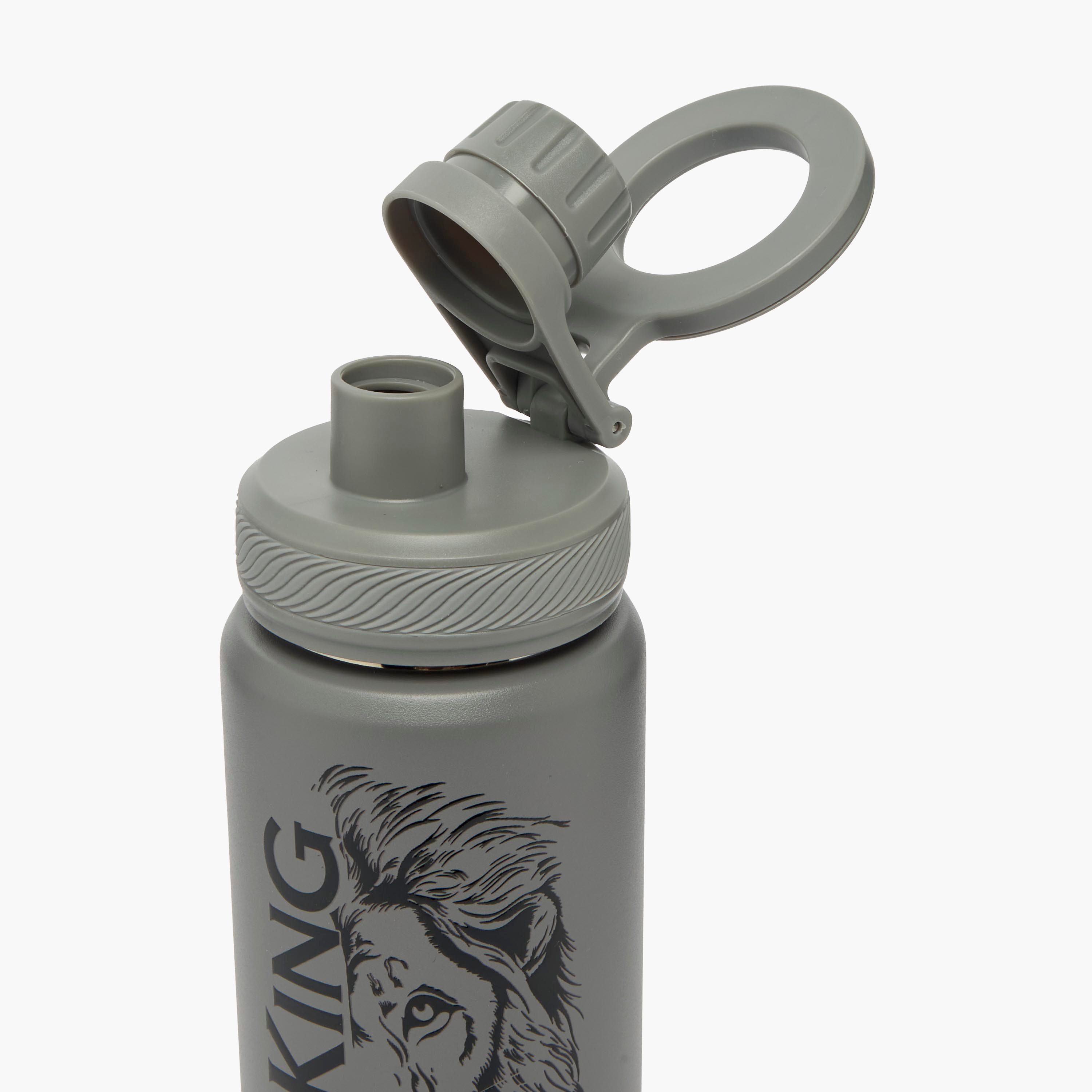 Juniors Lion Print Stainless Steel Water Bottle with Ring Handle-school-waterbottles-image-6