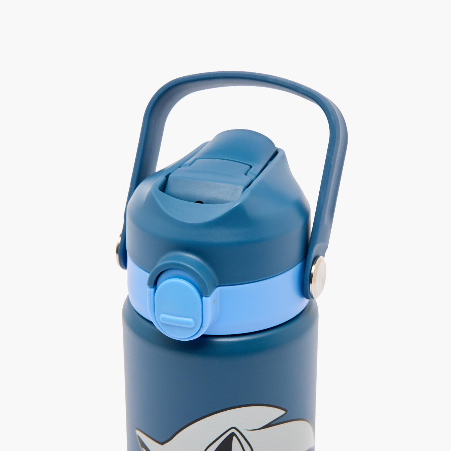 قارورة مياه ستانلس ستيل بقشّة ومقبض حمل وطبعات سونيك ذا هيدجهوج-school-waterbottles-image-4
