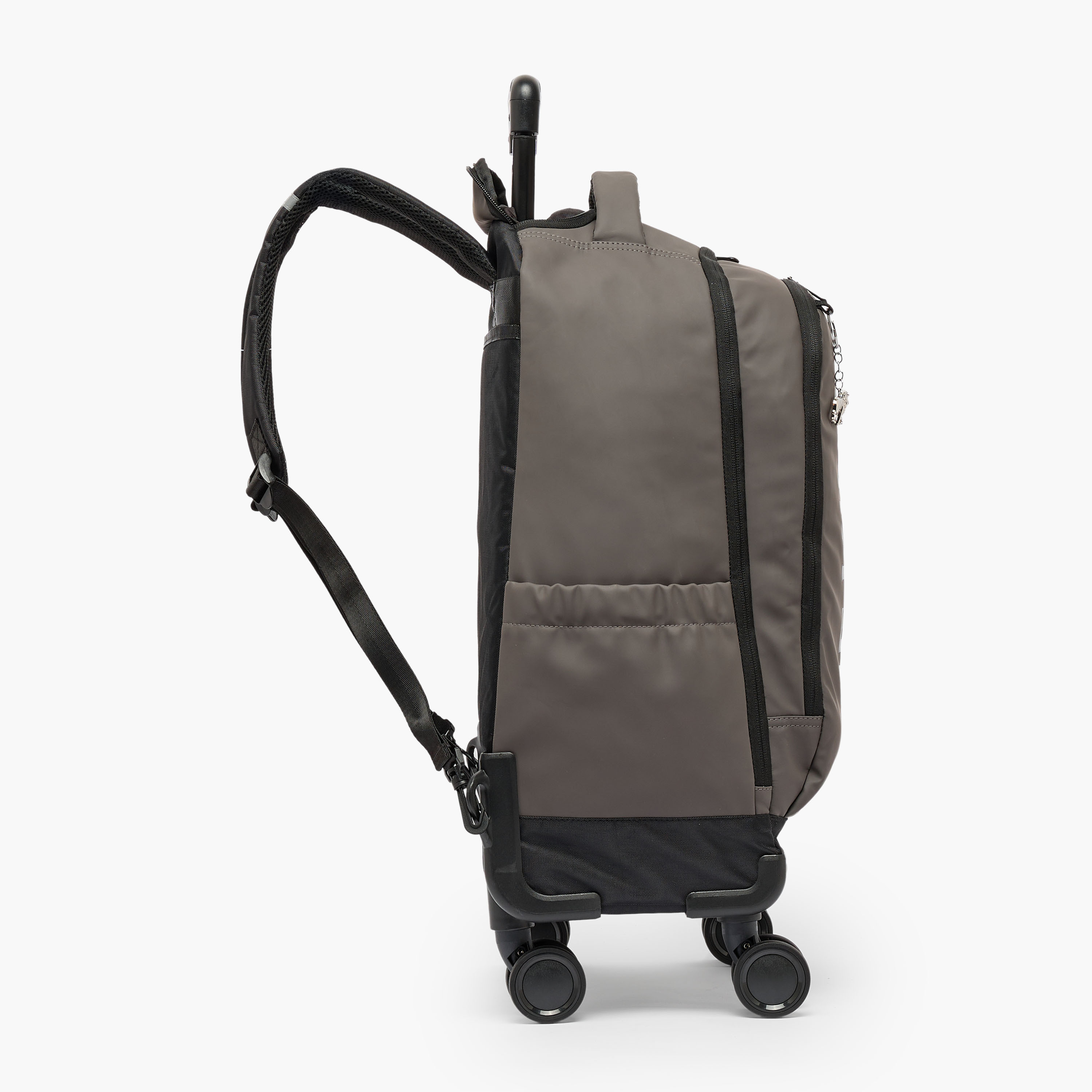 شنطة ترولي بطبعات أسد للأولاد من 8 إلى 12 سنة بمقبض قابل للسحب من جونيورز-school-bagsandbackpacks-trolleybags-image-9