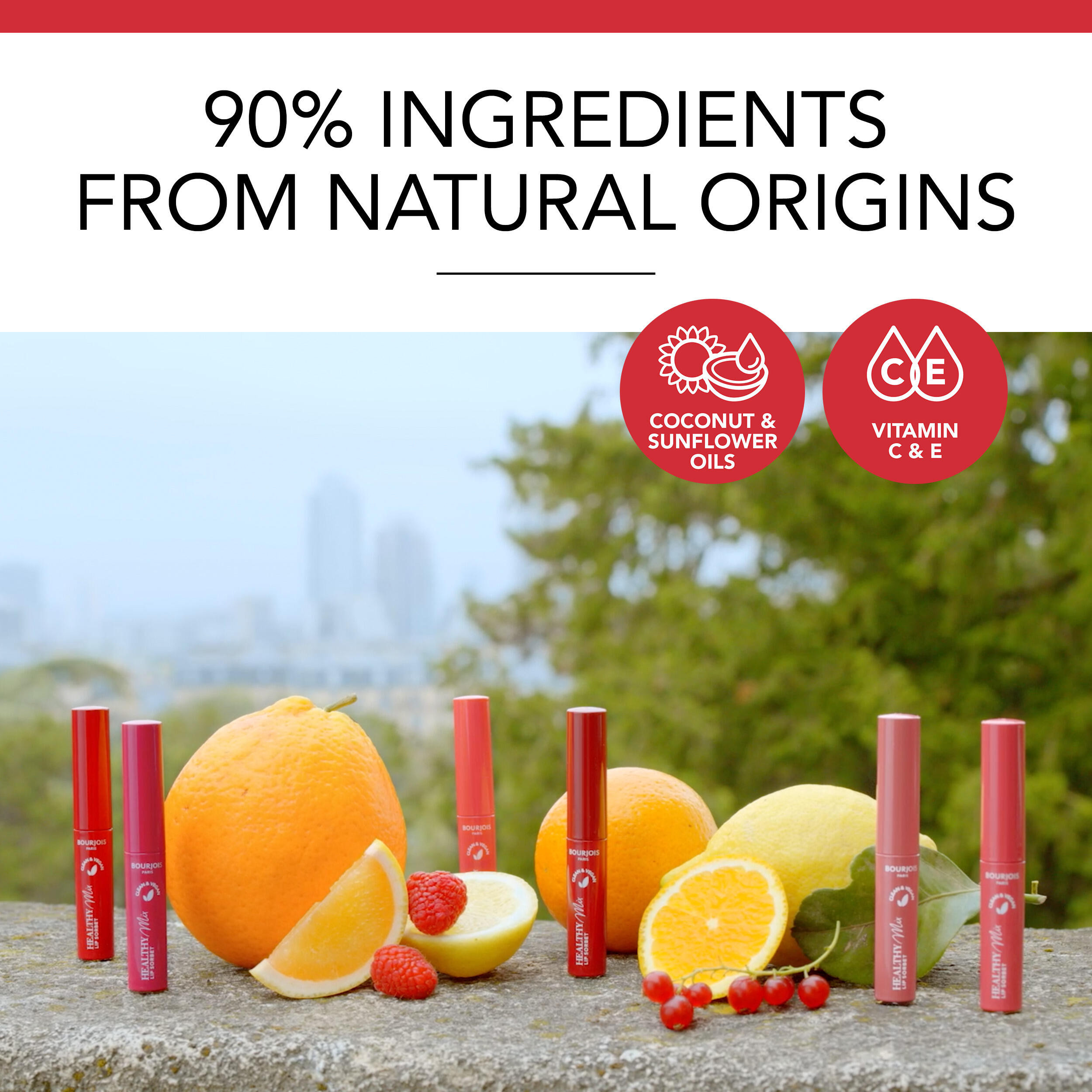 Bourjois Healthy Mix Clean Lip Sorbet 1.7gm-beautyandpersonalcare-makeup-eyes-eyeshadows-image-3