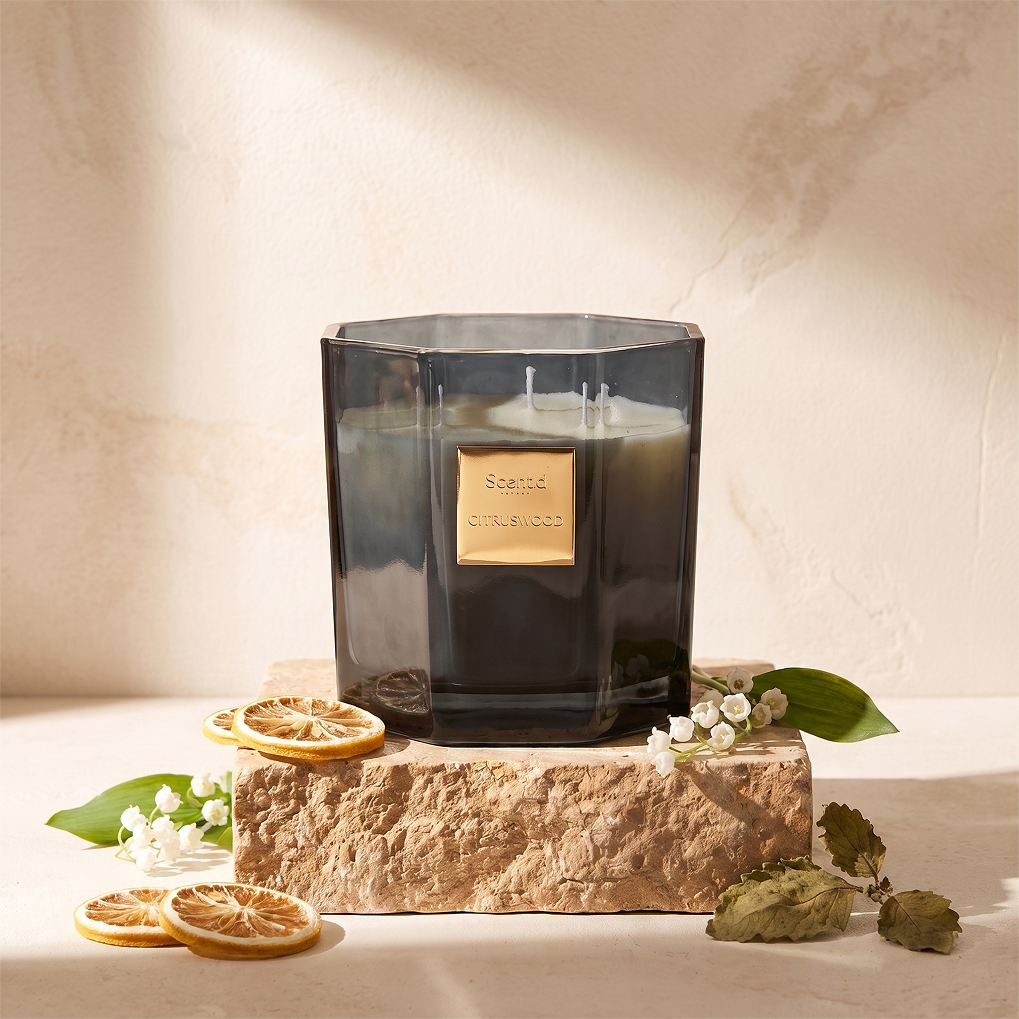 Scent.d London Citruswood Scented Jar Candle - 600 gms-household-homefragrance-candles-image-2