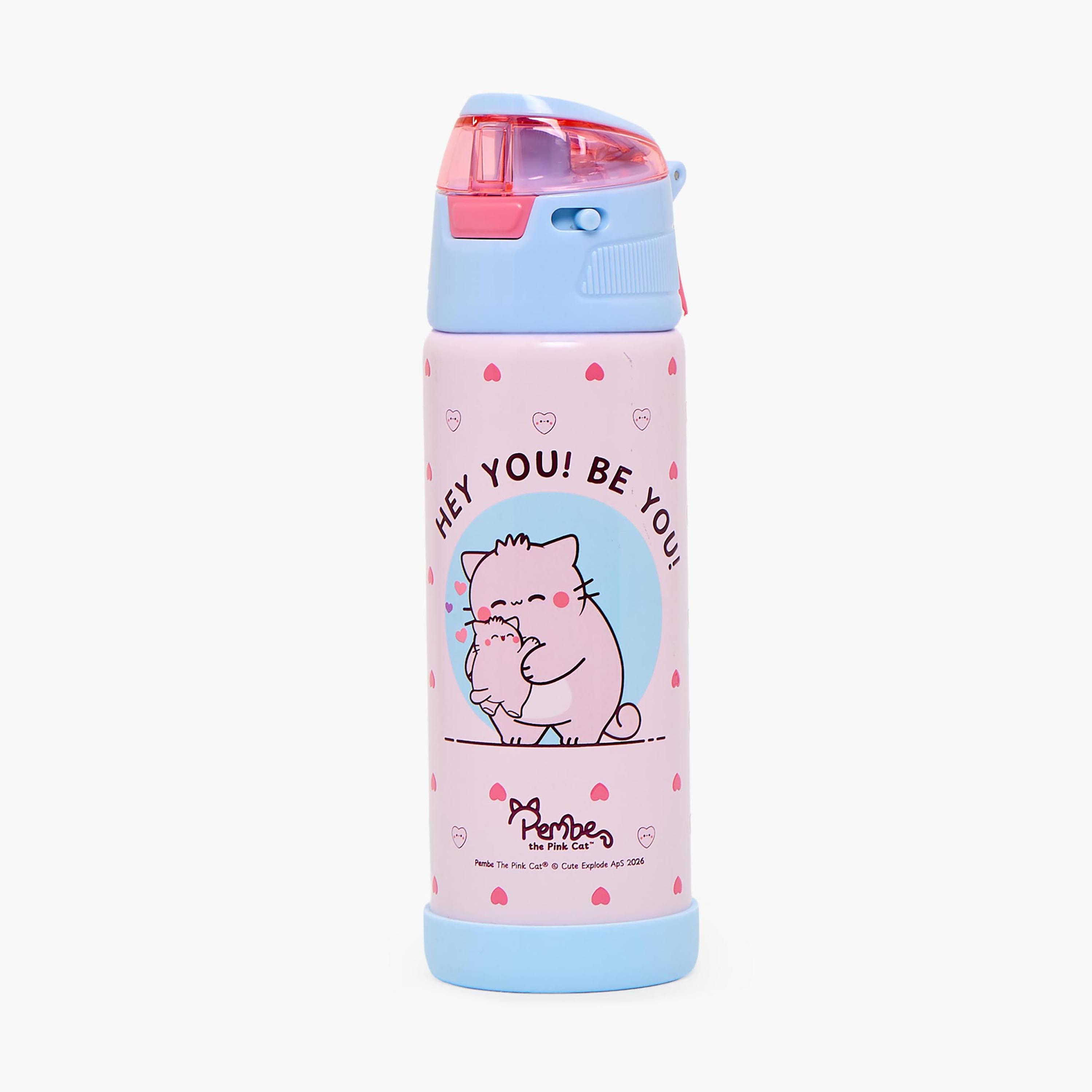 Pembe Printed Stainless Steel Water Bottle with Spout and Handle- 500ml-school-waterbottles-image-1