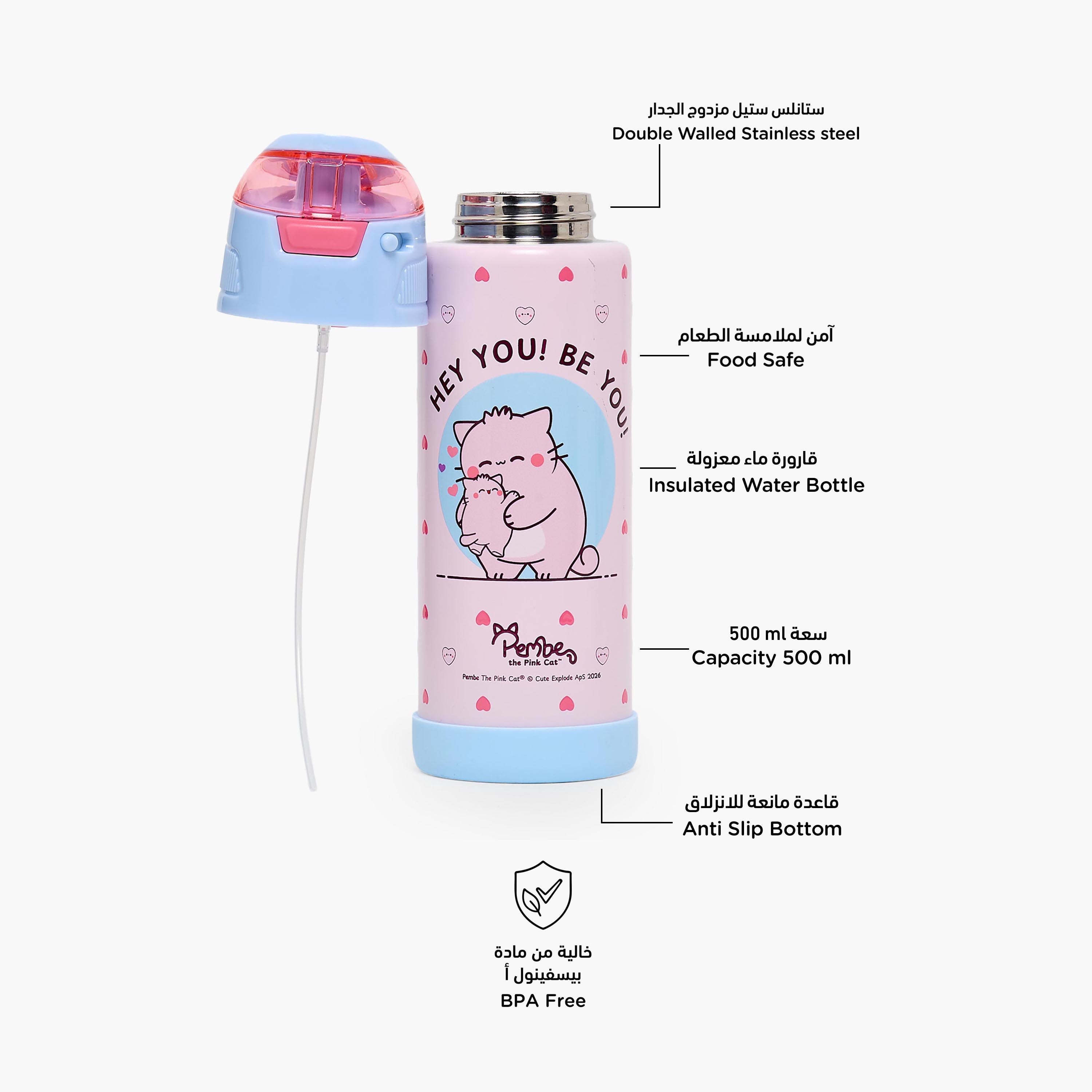 Pembe Printed Stainless Steel Water Bottle with Spout and Handle- 500ml-school-waterbottles-image-2