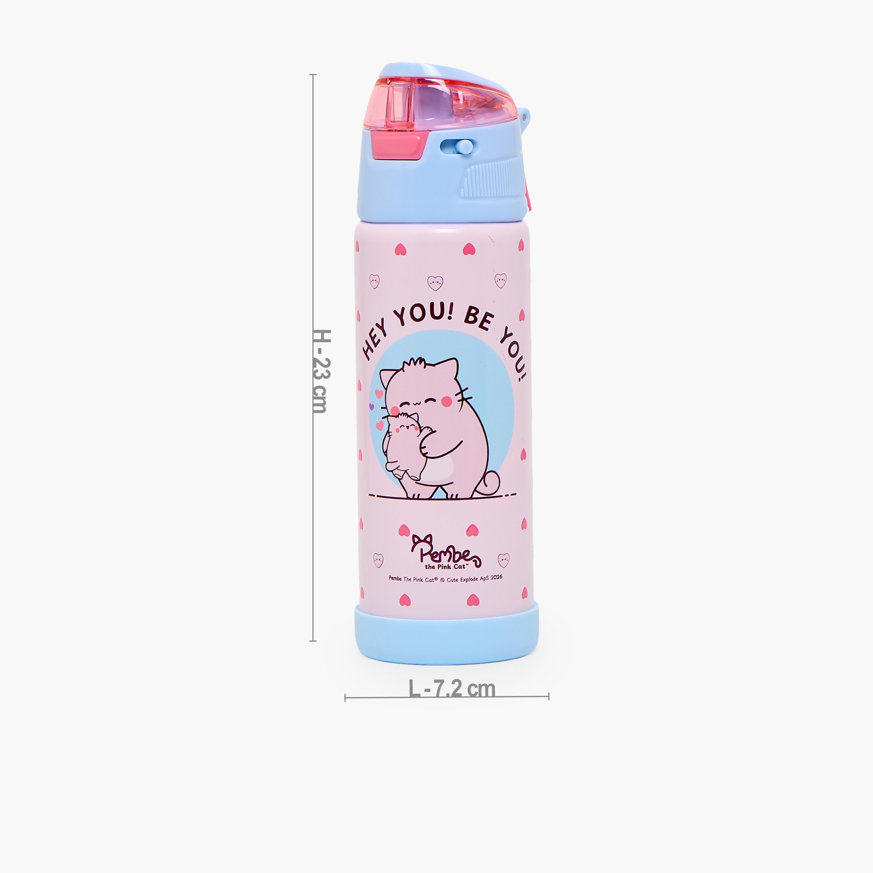 Pembe Printed Stainless Steel Water Bottle with Spout and Handle- 500ml-school-waterbottles-image-3