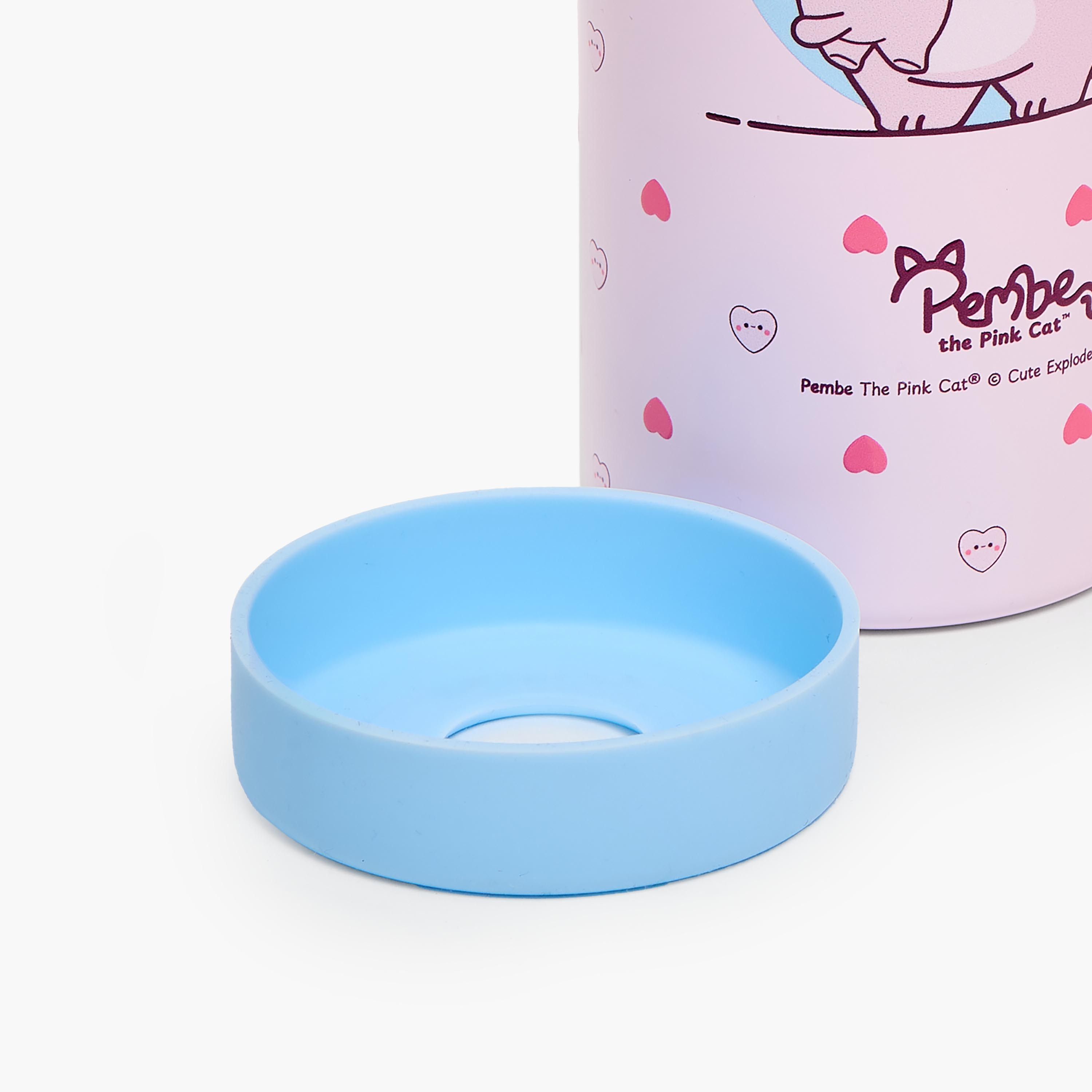 Pembe Printed Stainless Steel Water Bottle with Spout and Handle- 500ml-school-waterbottles-image-8