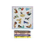 Gloo Princess Grab and Go Play Pack with Colouring Book-school-artsandcrafts-image-1