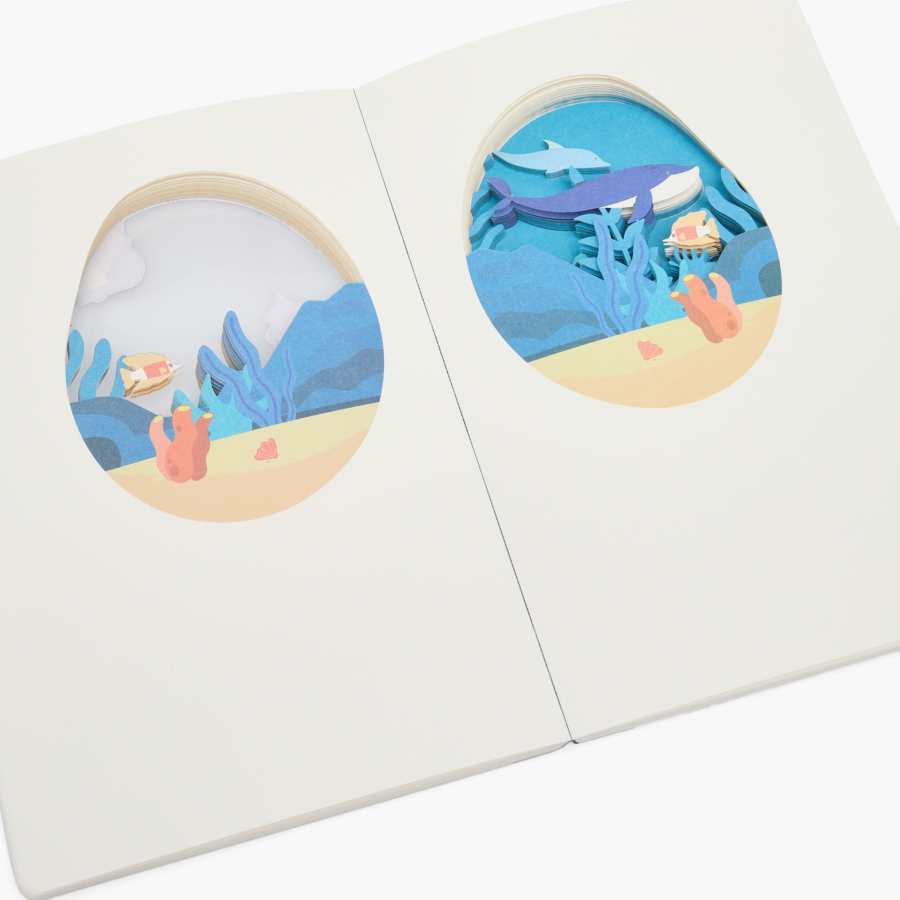 دفتر A5 بغلاف خفيف وتصميم بحري من سايلون-school-stationery-notebooks-image-5