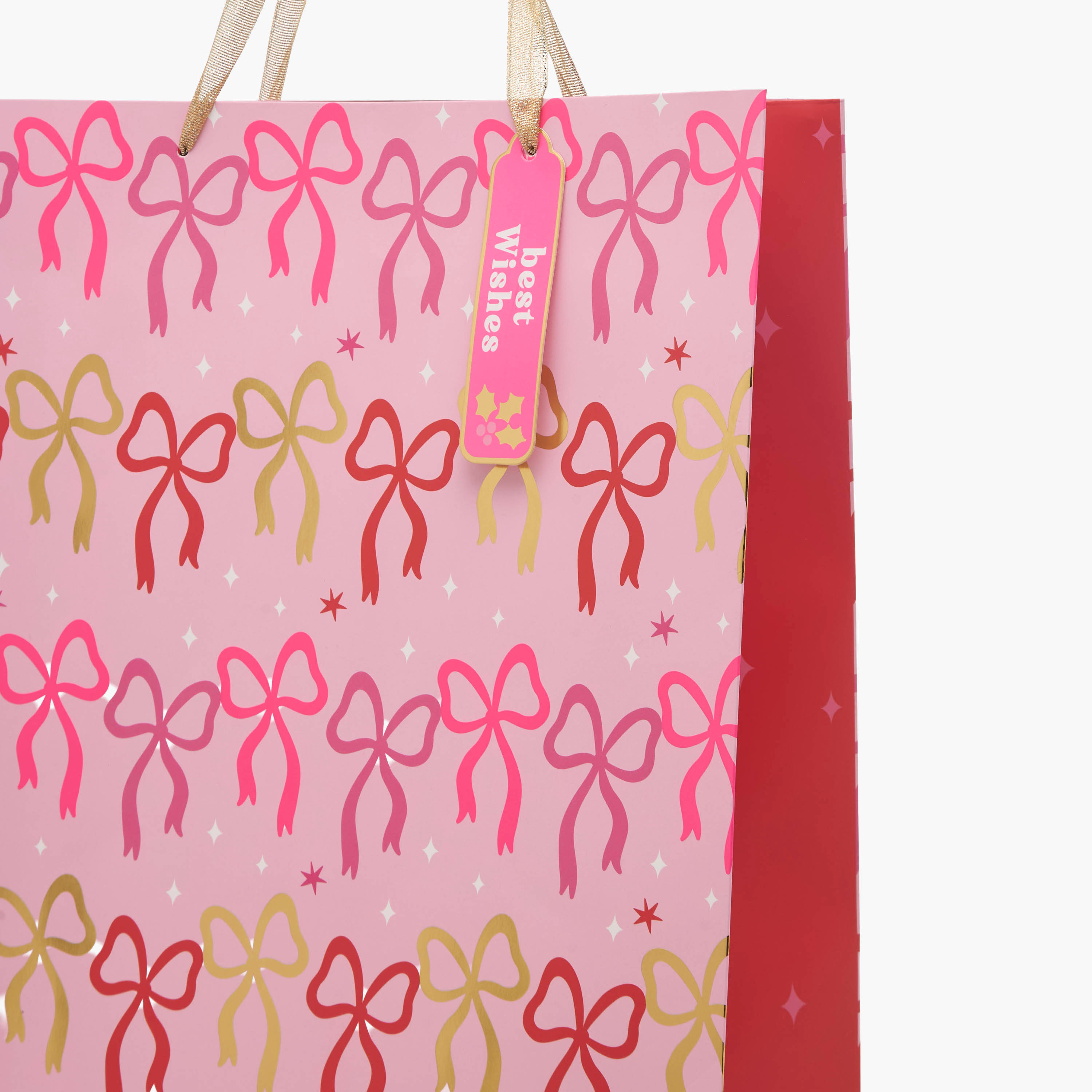شنطة هدايا بطبعات فيونكة من فايندز - كبيرة-household-giftingaccessories-giftbags-image-3