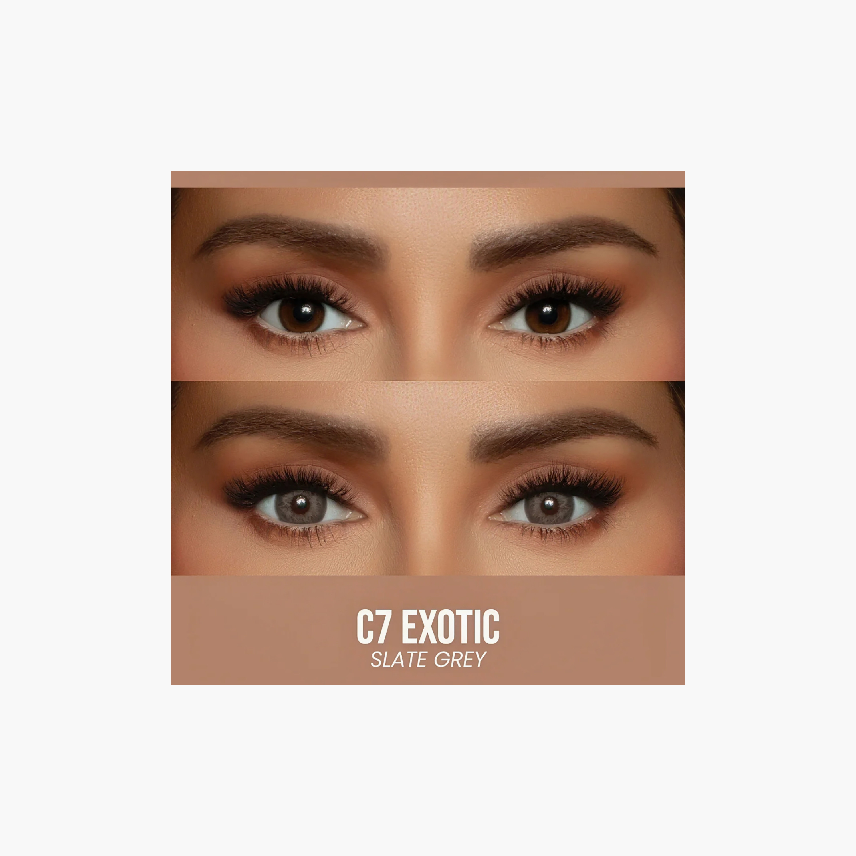 Eyecandy Joelle C7 Exotic Contact Lens-beautyandpersonalcare-makeup-eyes-colorcontactlenses-image-4