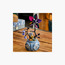 Lego Disney Sally’s Flowerpot Flower Building Playset-toys-buildingblocks-blocks-image-9