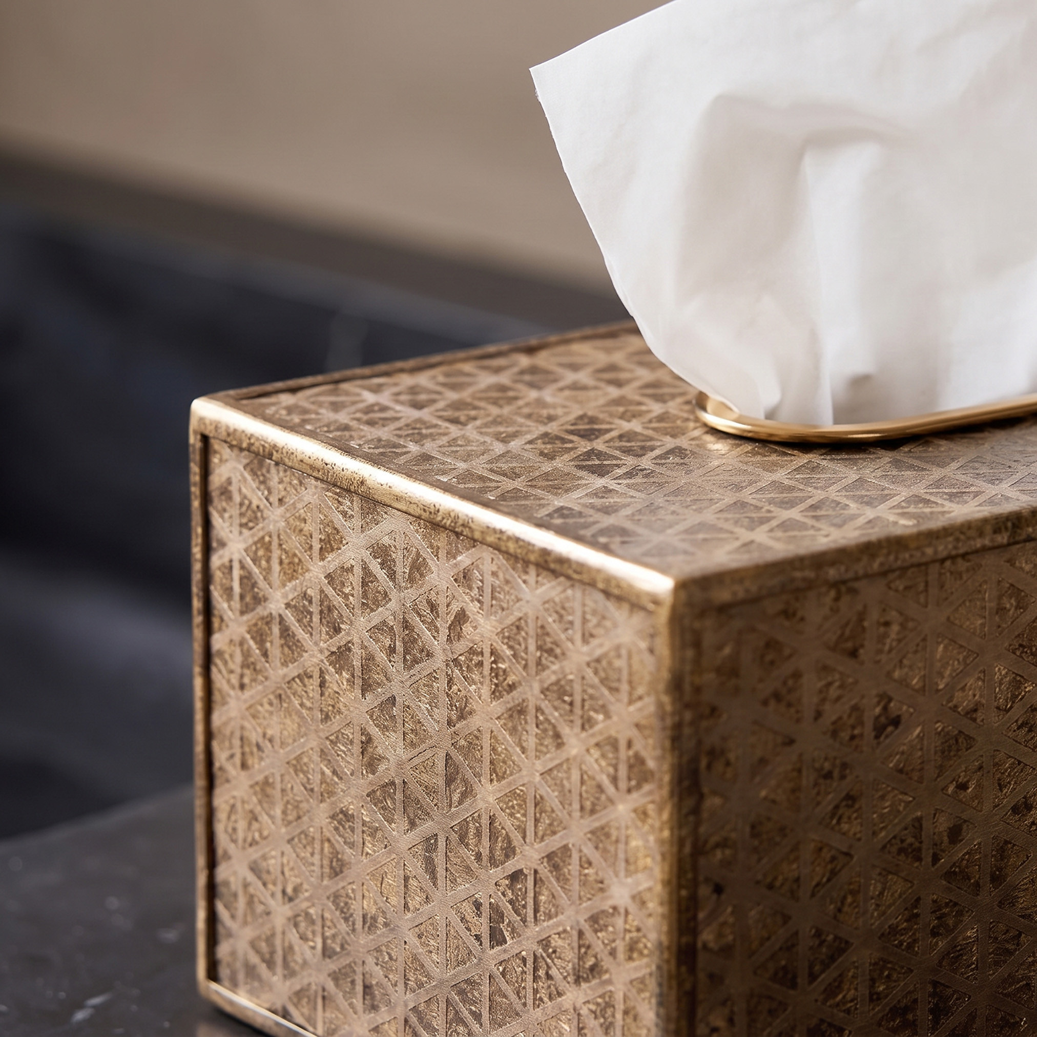 علبة مناديل من جيو - 25x14x10 سم-household-decor-decorativeobjectsandsculptures-image-3