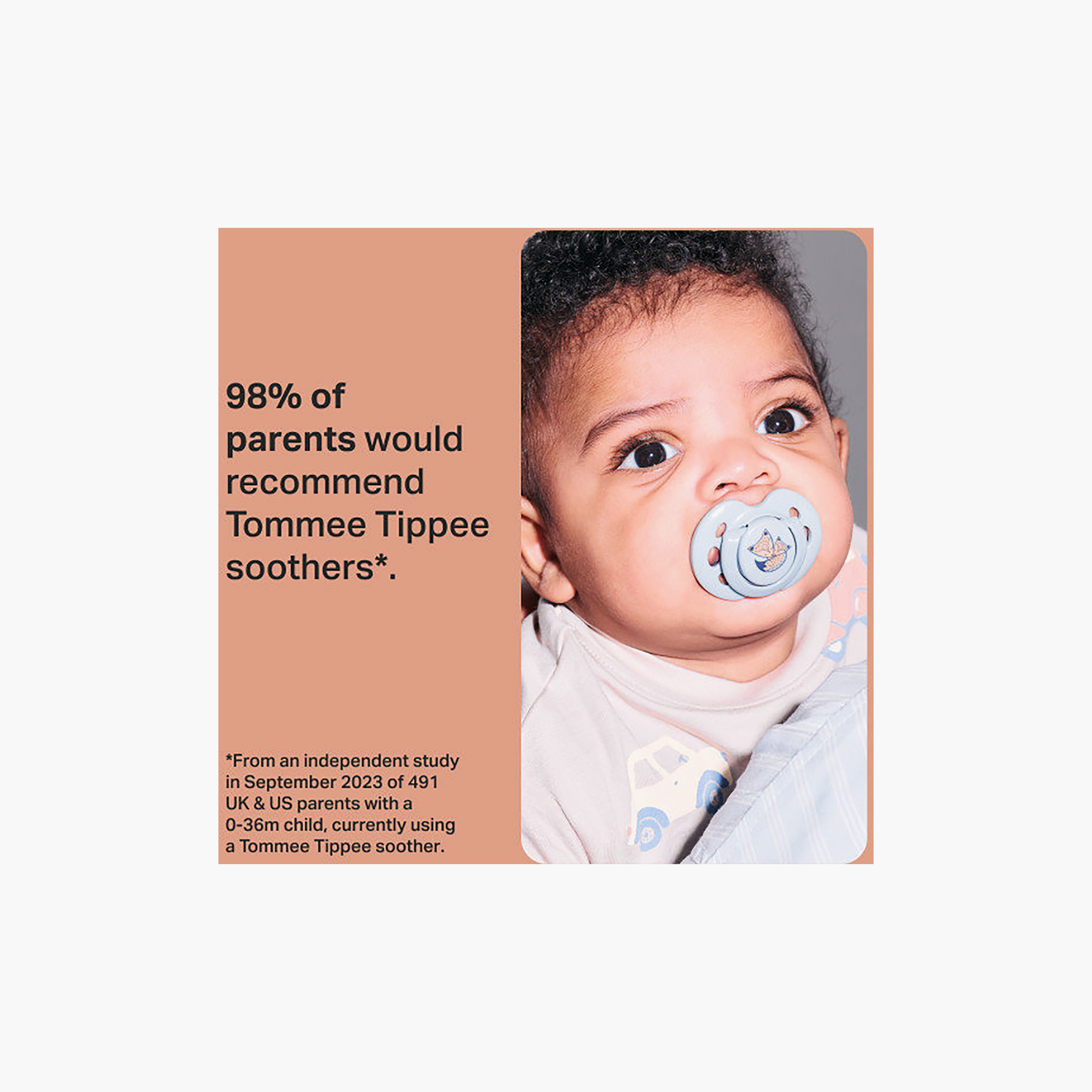 Tommee Tippee 2-Piece Fun Friends Soothers with Case - 0-6 Months - Assorted-baby-feeding-pacifiers-image-4