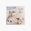 Hape Crawl & Pull Along Learning Puppy Toy-toys-babyandtoddlertoys-learningtoys-image-11