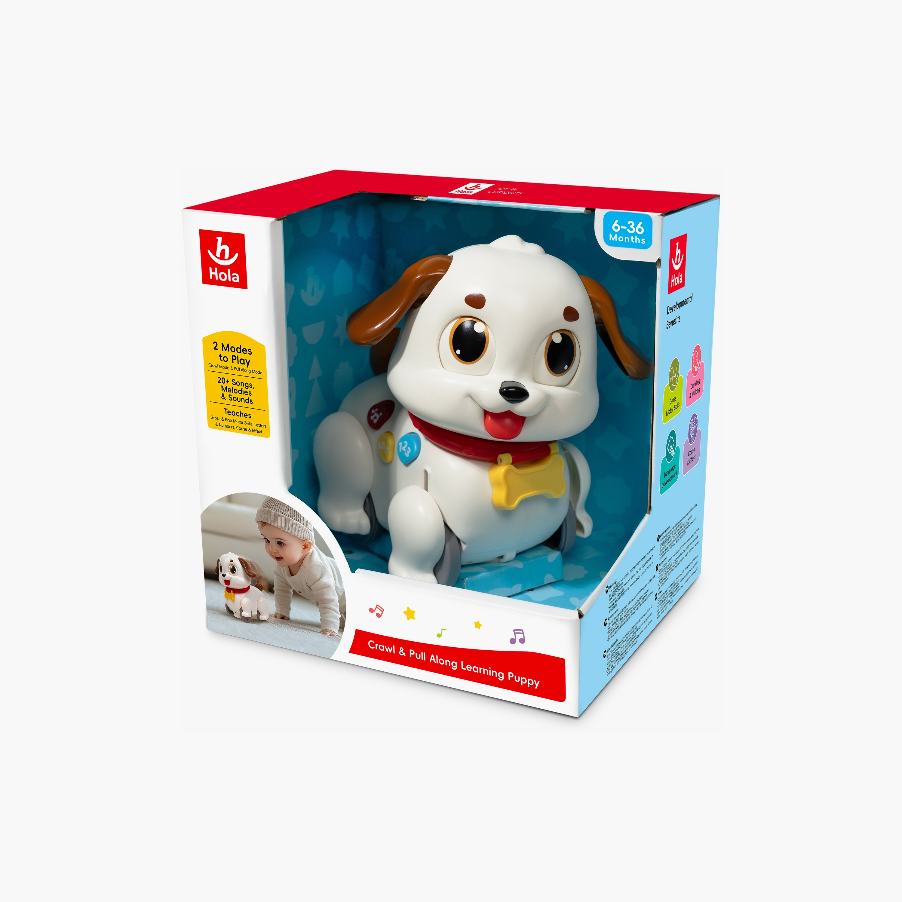 Hape Crawl & Pull Along Learning Puppy Toy-toys-babyandtoddlertoys-learningtoys-image-3