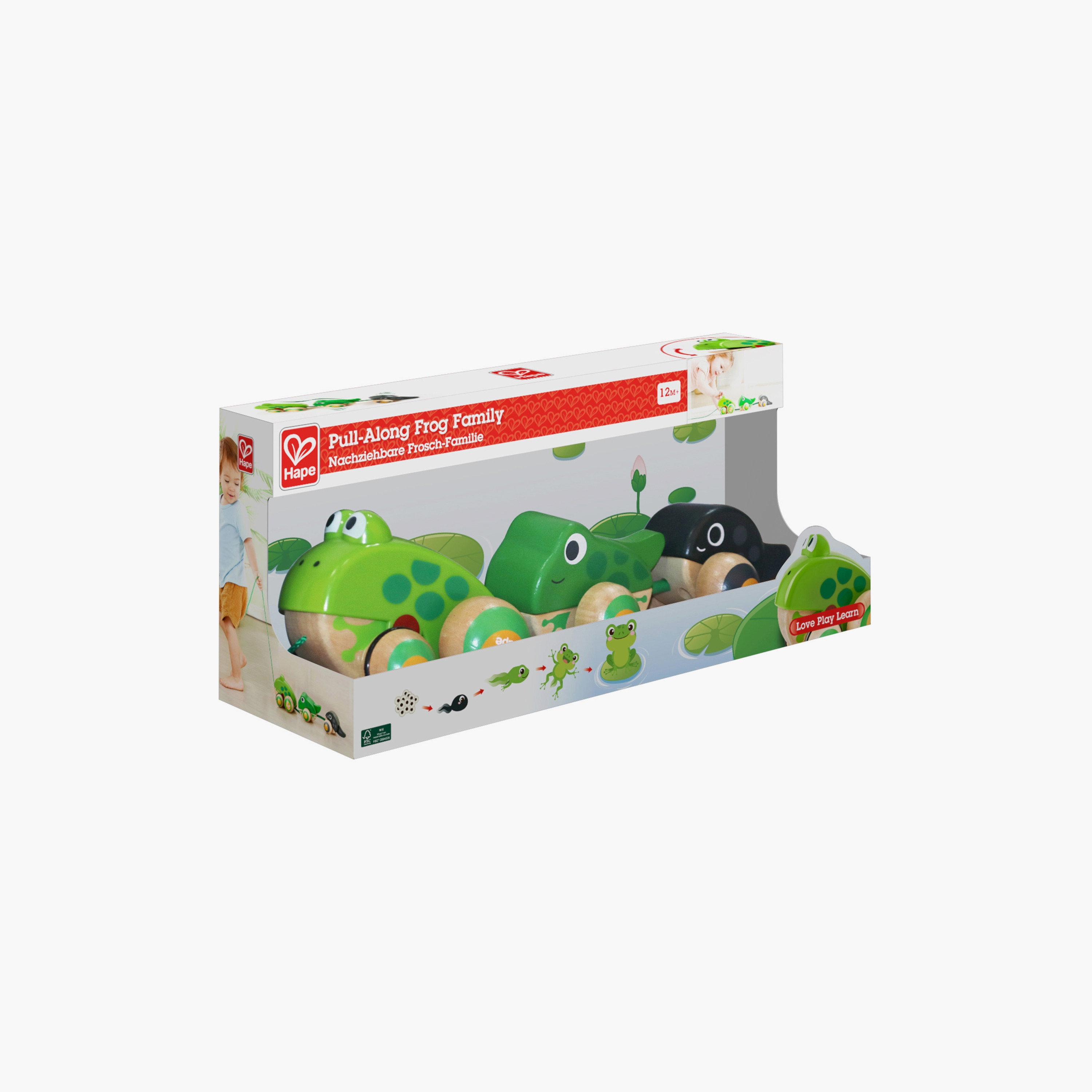 Hape Pull-Along with Frog Family Toy-toys-babyandtoddlertoys-pushandpulltoys-image-2