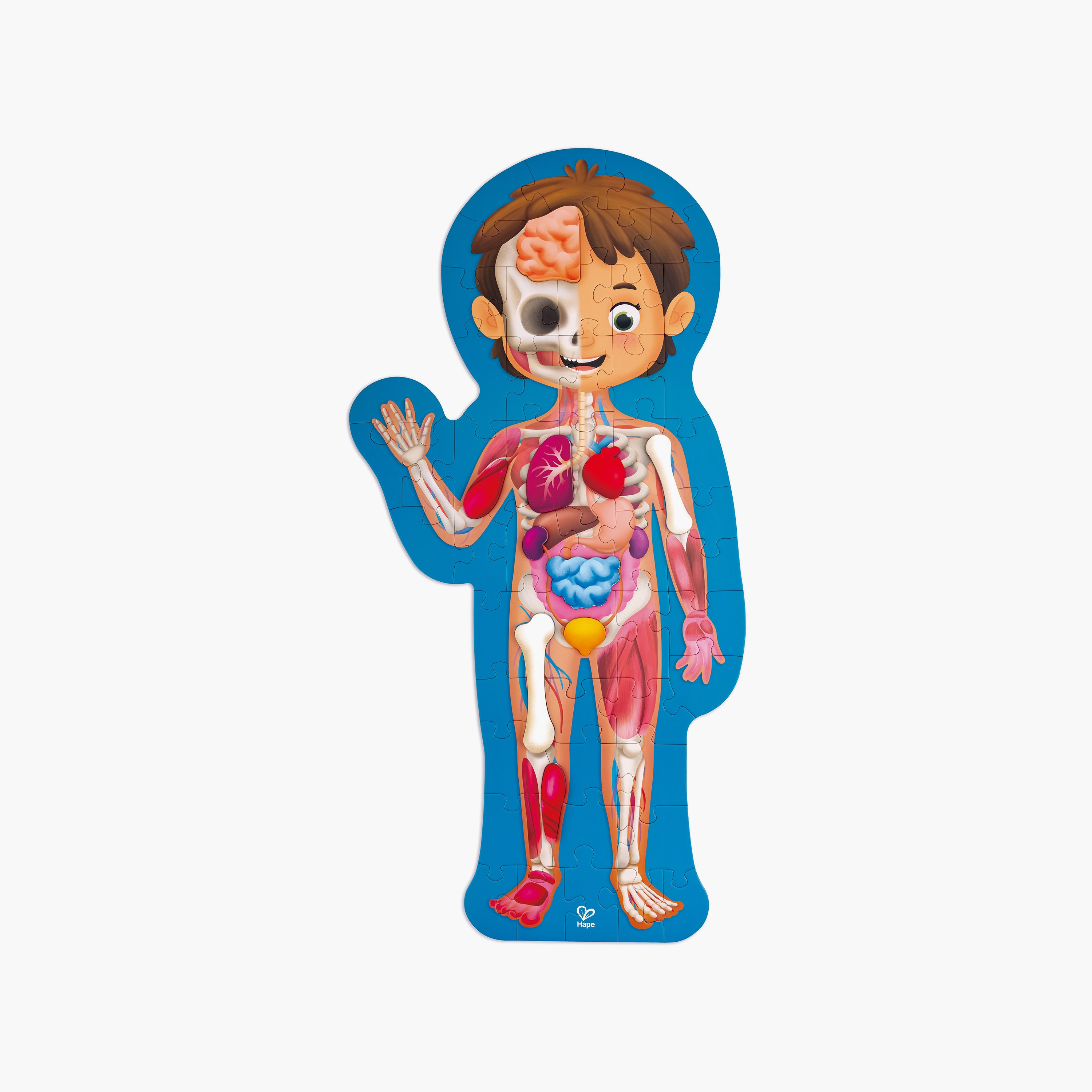 Hape Human Body Jigsaw Puzzle-toys-indoortoys-puzzles-image-1