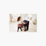 Hape Learns with Lights Piano with Stool-toys-babyandtoddlertoys-lightsandmusicaltoys-image-20