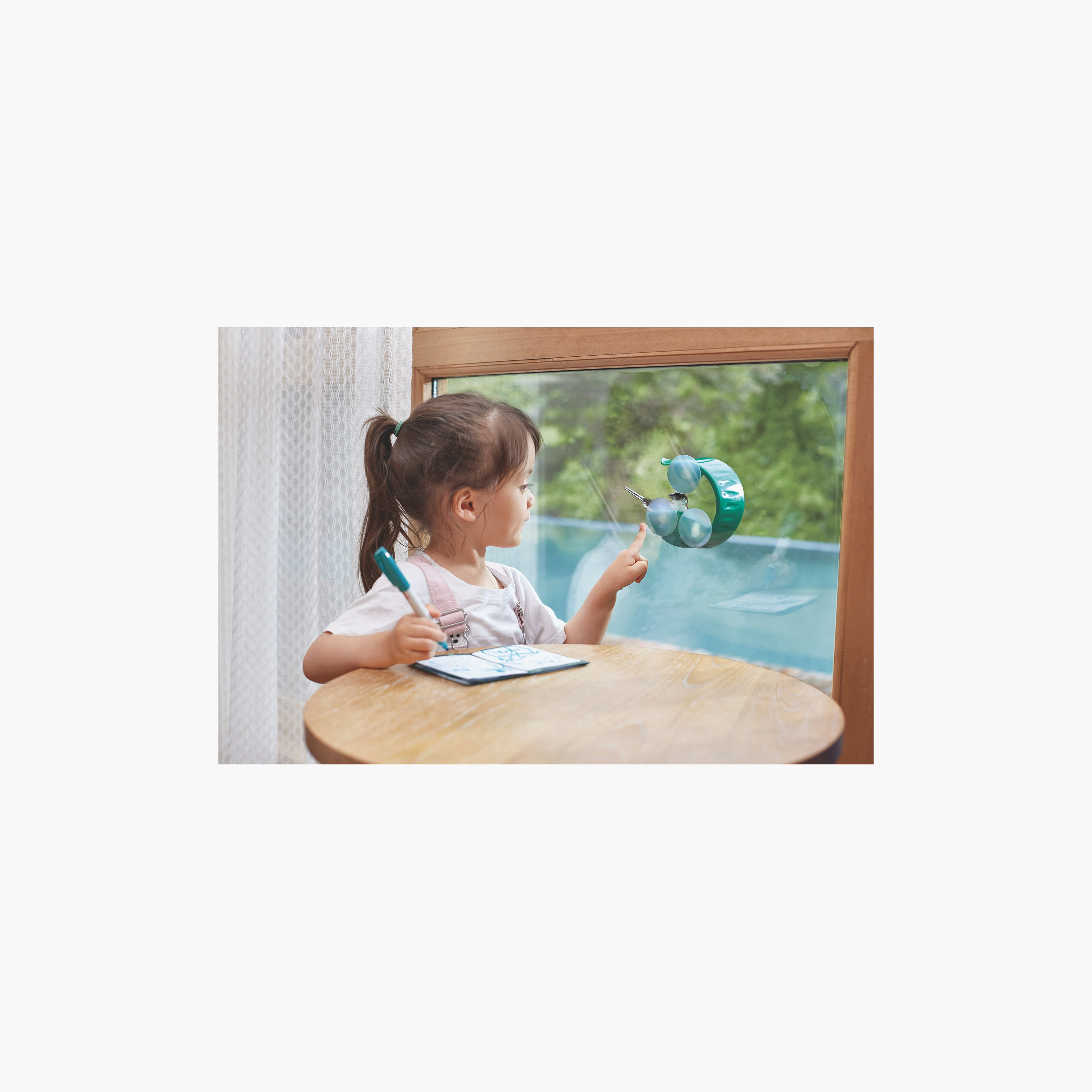 Hape Nature Fun Window Bird Feeder-toys-outdoor-activity-image-4