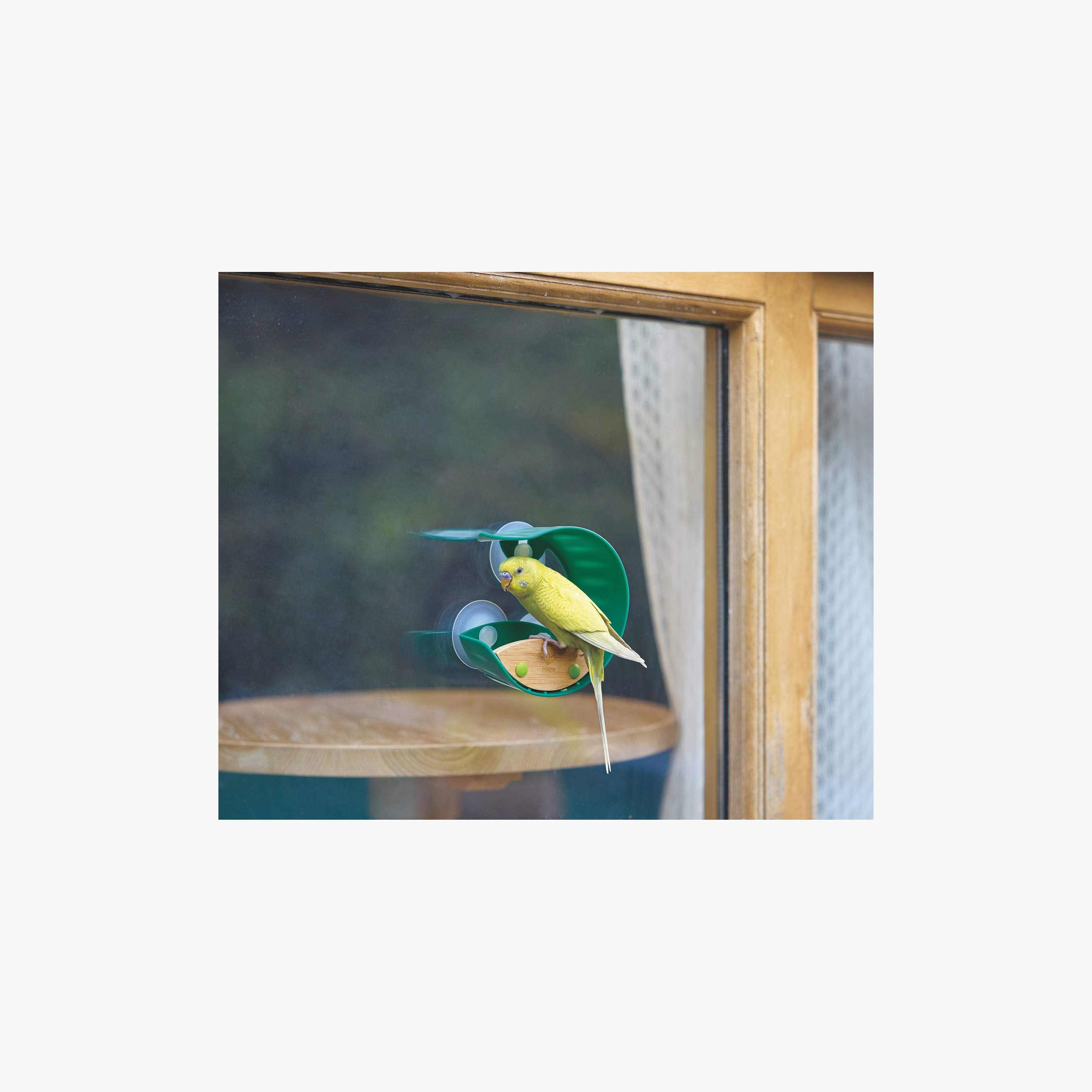 Hape Nature Fun Window Bird Feeder-toys-outdoor-activity-image-5