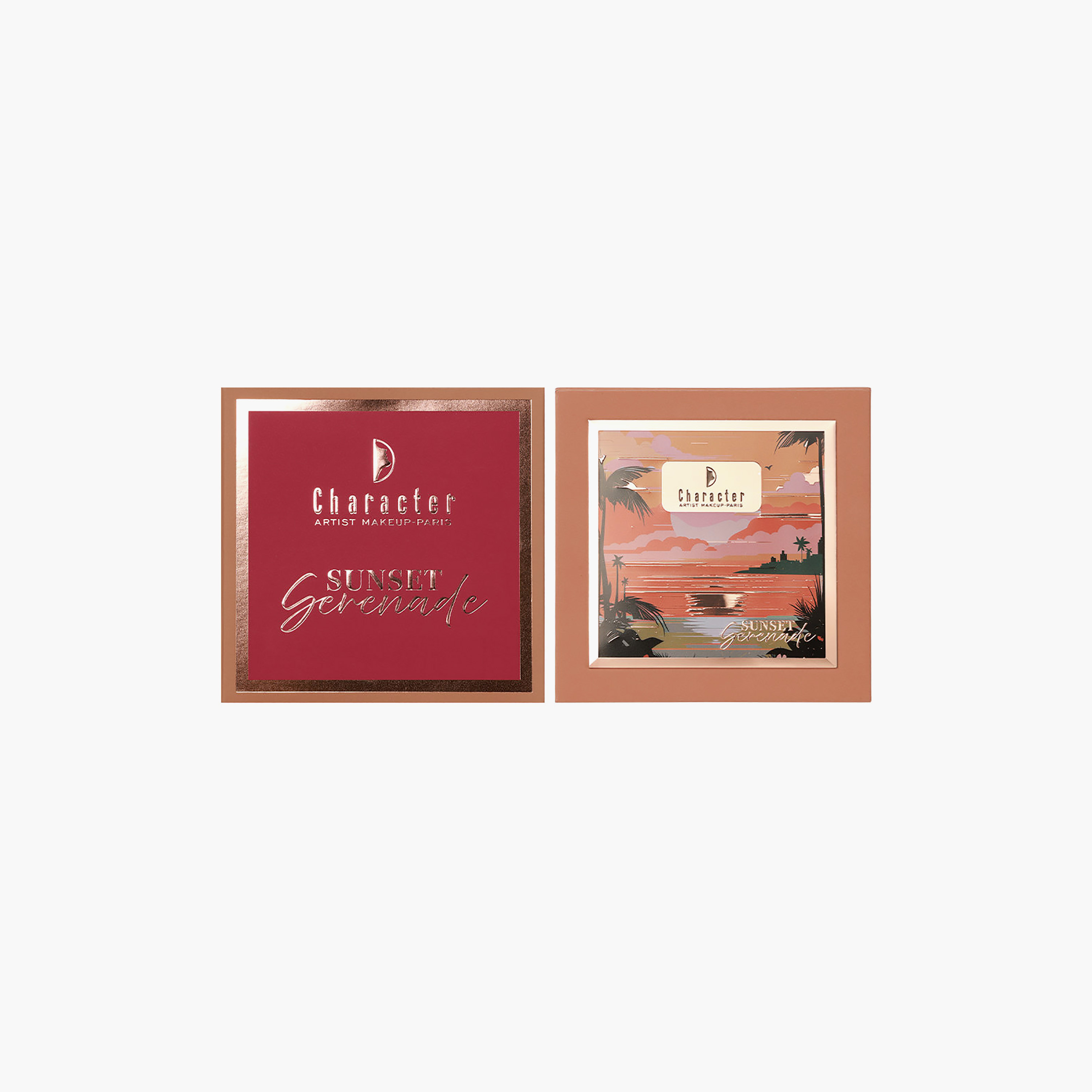 Character 4 Color Blush & Highlighter Palette 20gm-beautyandpersonalcare-makeup-face-highlighters-image-7